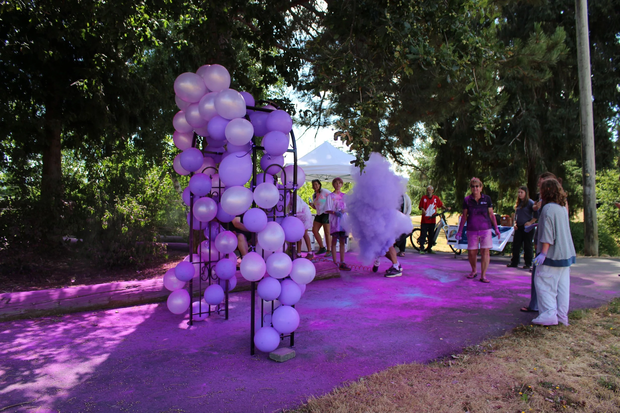 People gathered around a purple balloon display and smoke cloud at an outdoor event on a grassy area with trees.