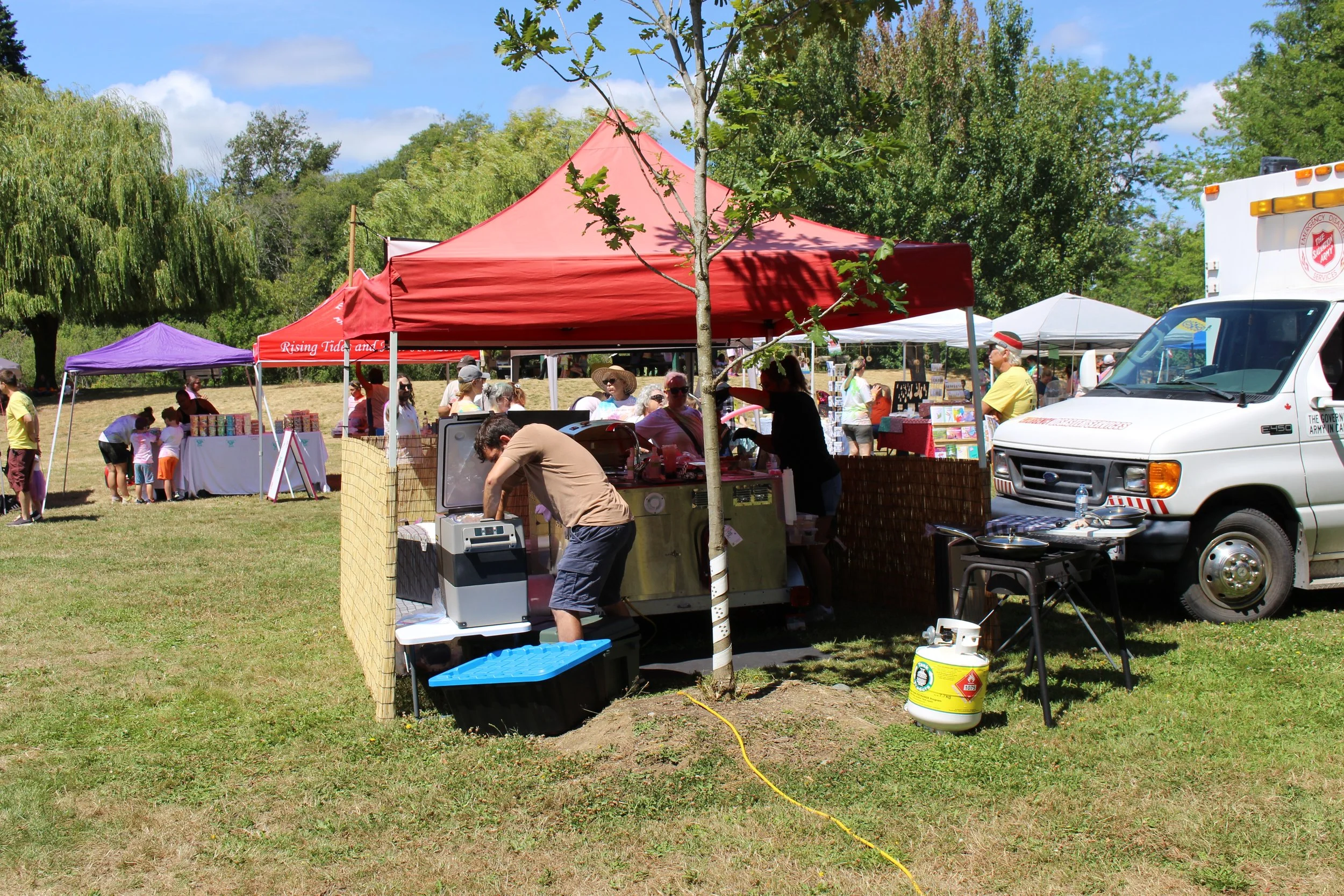 A park with multiple booths and tents at an outdoor fair, with people browsing and enjoying the event, trees, and a blue sky.