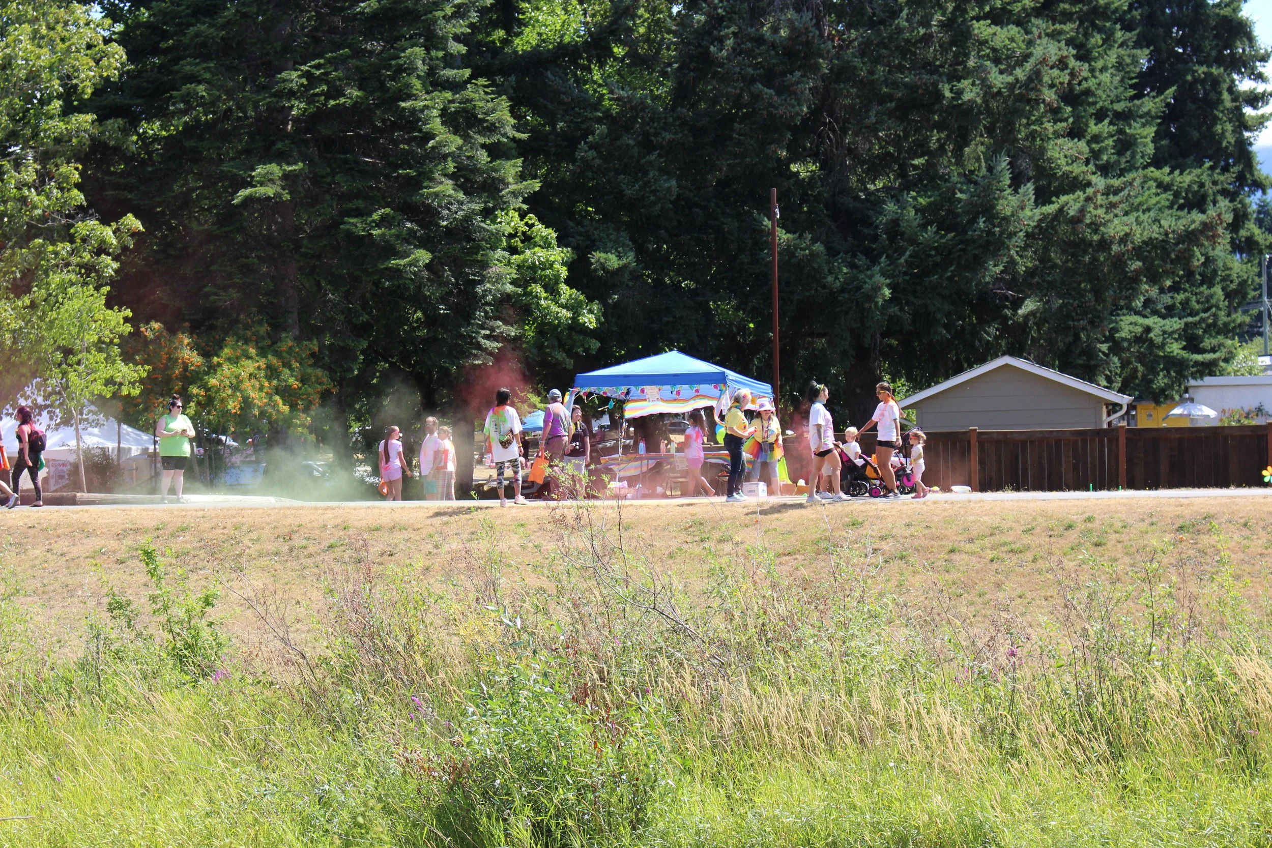 People walking in a park with tall trees in the background and a blue canopy over a booth, some are wearing white T-shirts, sunlight, and a grassy foreground.