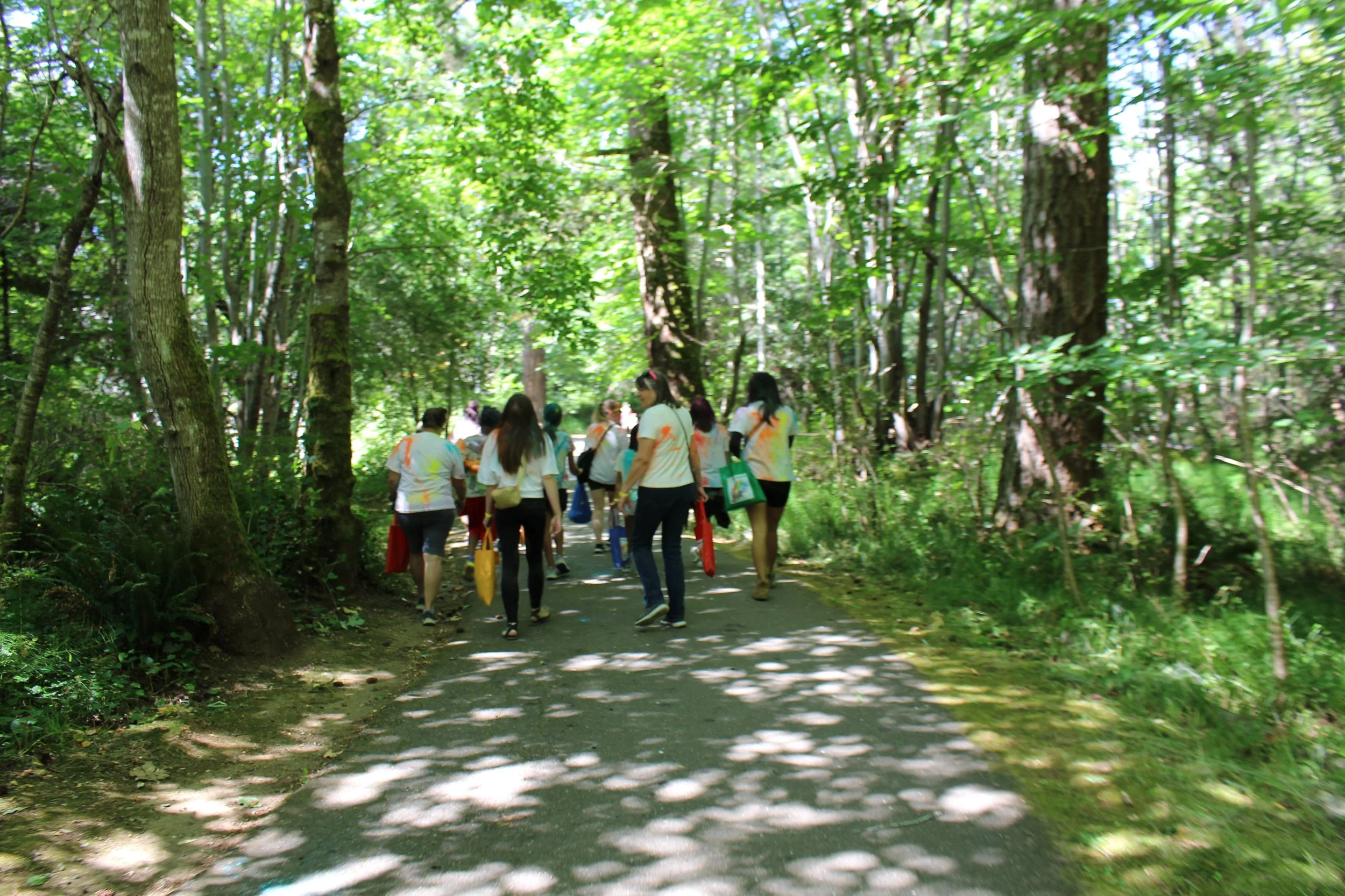 A group of people walking along a shaded forest trail in a lush green wooded area.