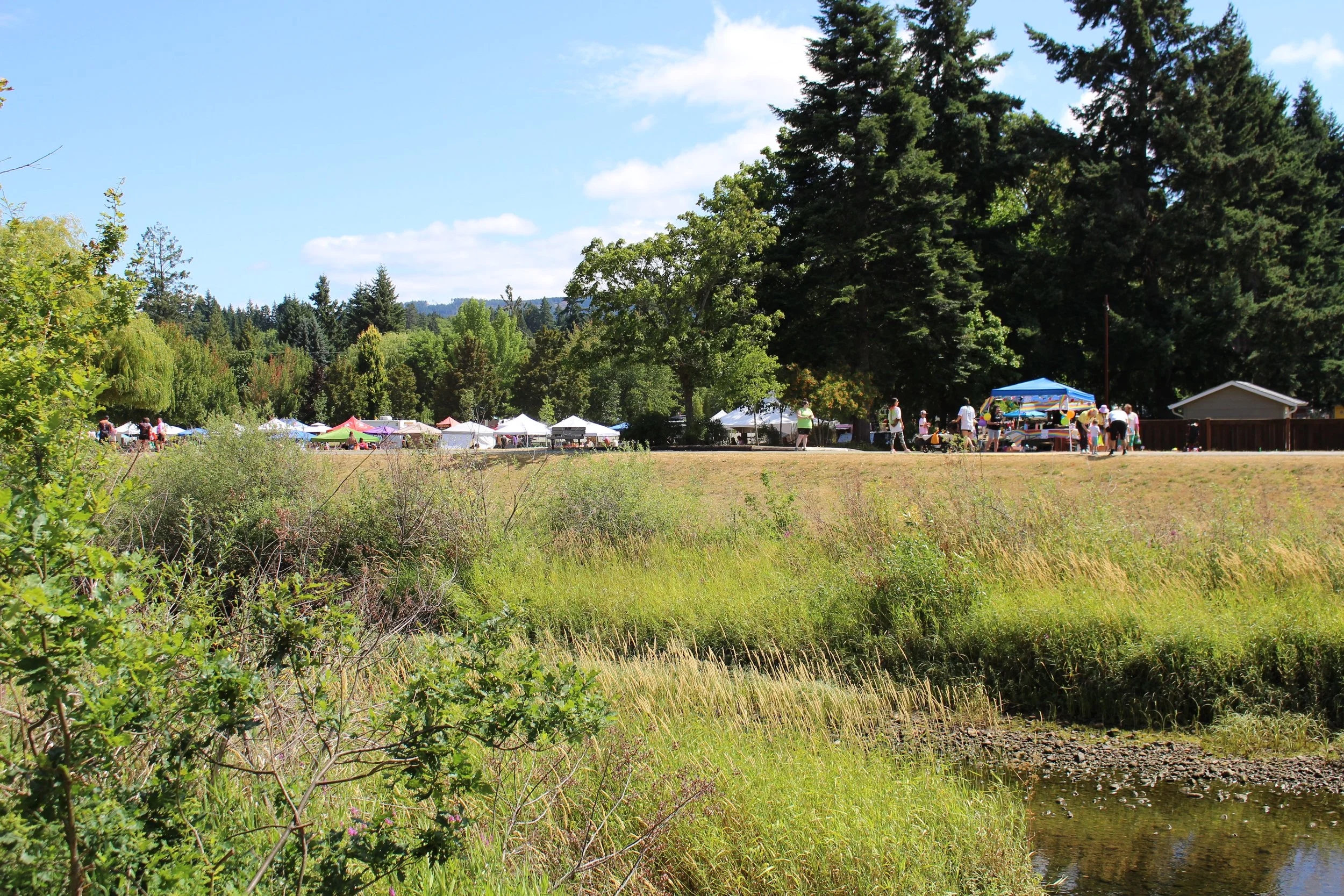 Outdoor scene of a park with multiple tents and people gathered around, with trees, a small pond, and a bright blue sky with clouds.