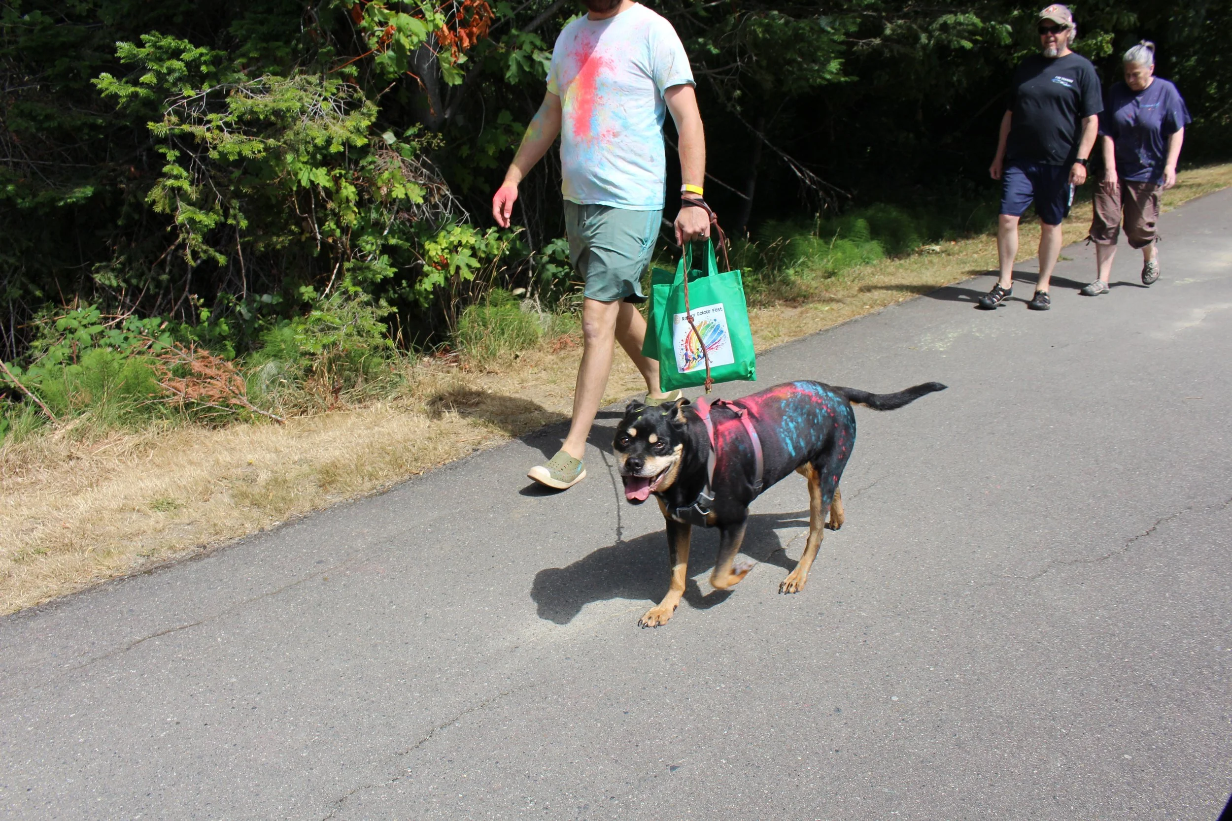 People walking on a paved path outdoors with a dog wearing a harness and decorated with colorful paint splatters.
