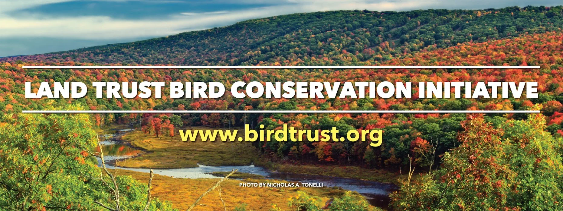 Cornell Lab: Funding Opportunity 