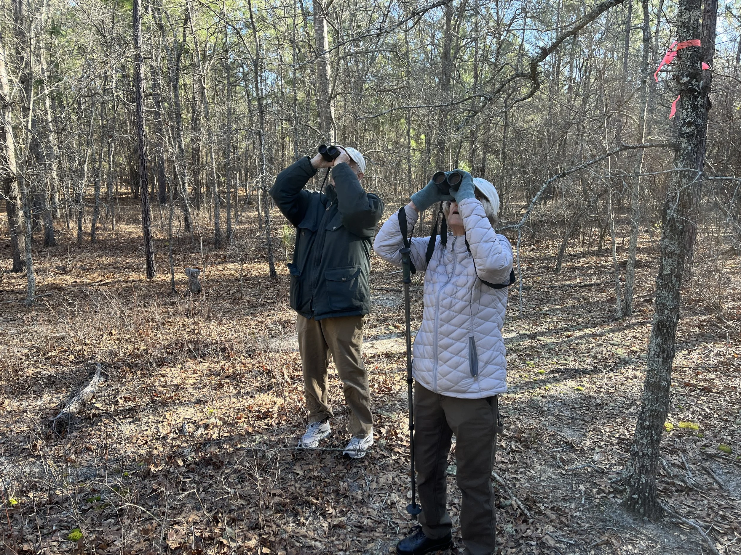 Burning for Birds Partners to Host Bioblitz Events