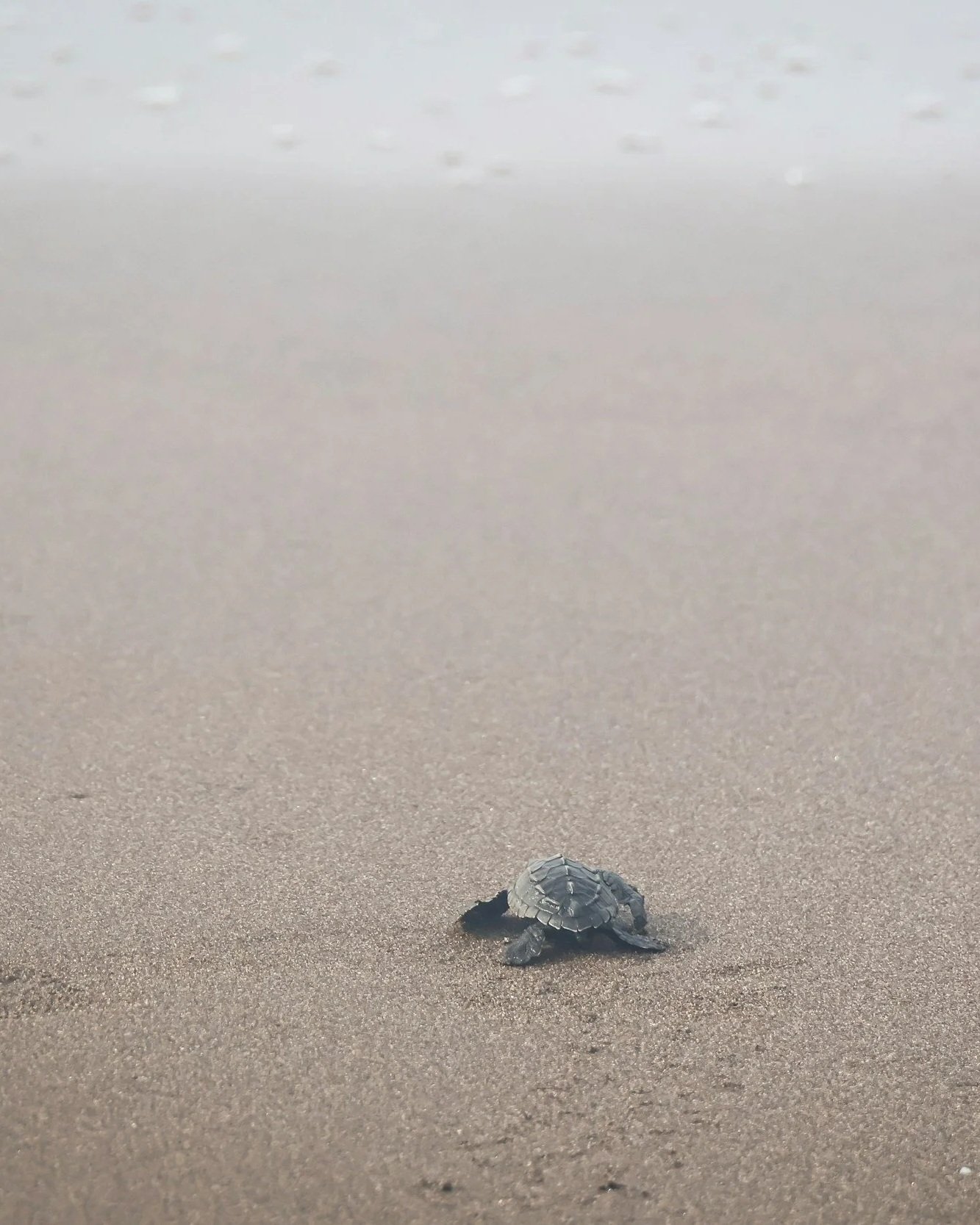 Struggle Isn’t Failure