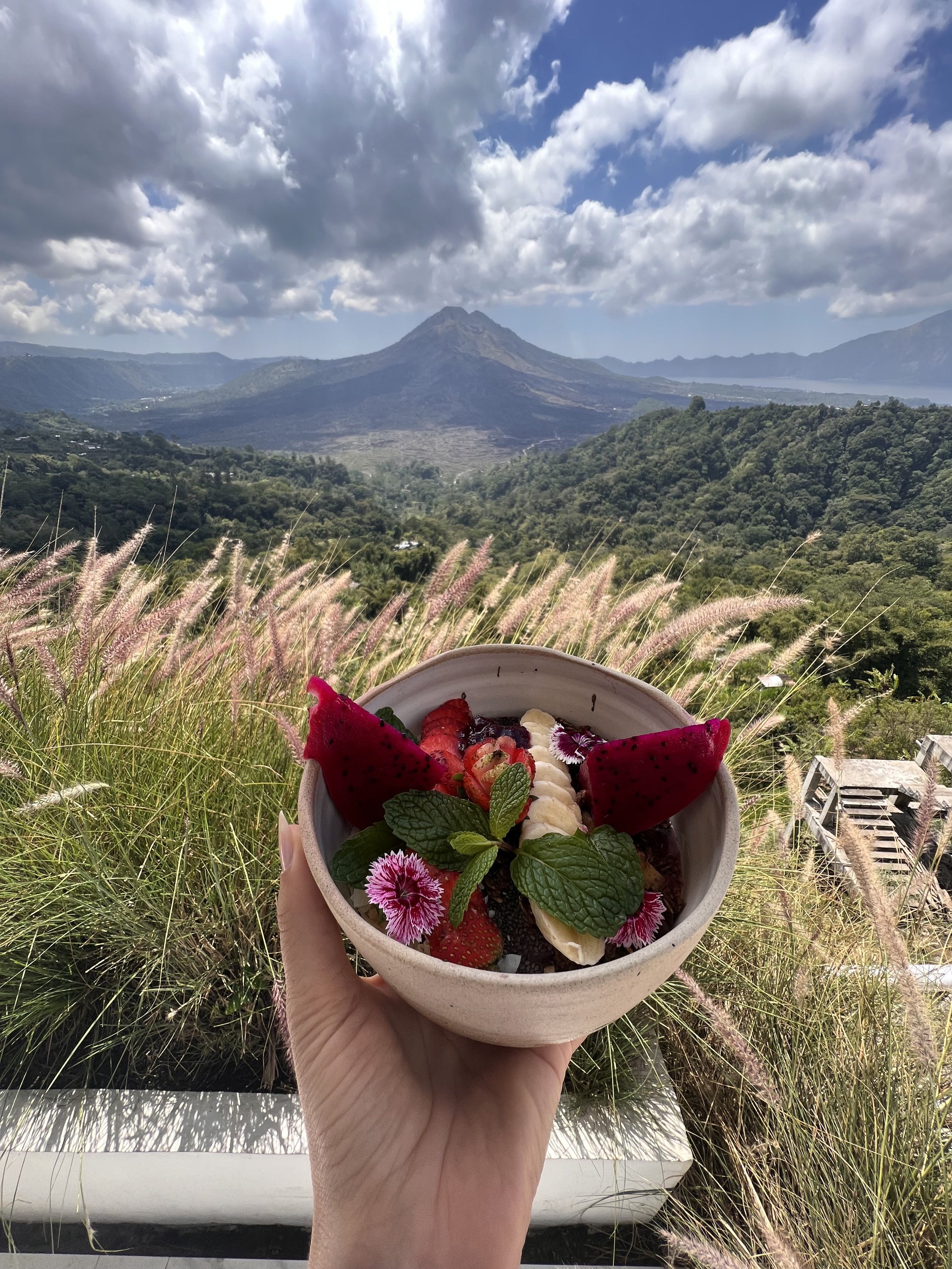 GUIDE TO QUITTING SUGAR