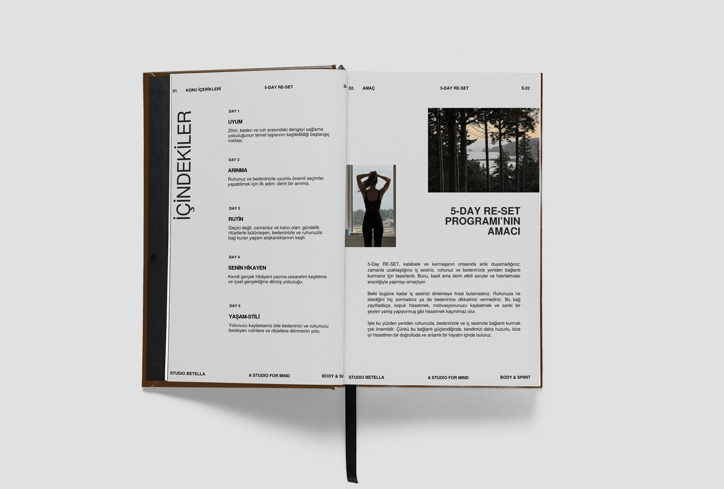 reset e-kitap