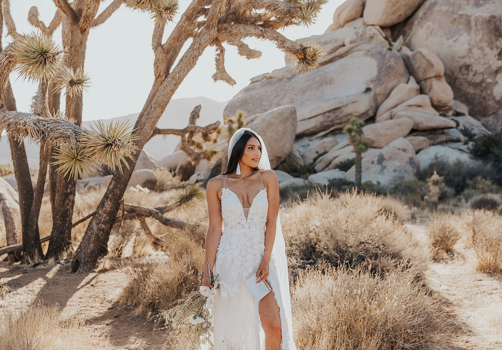 A newlywed couple sharing a kiss in a desert landscape with Joshua trees and mountains in the background. Destination wedding with Elopement photographer.