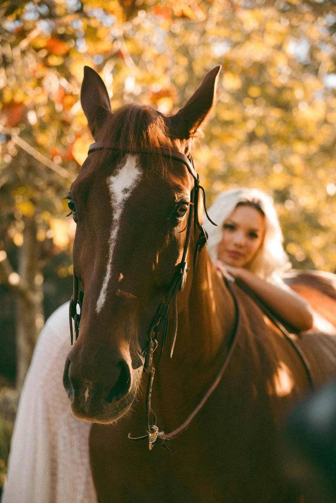 Cinematic, outdoor, western branding portraits at horse stables in Huntington Beach— Best brand photographers in Huntington Beach — Captured by Tesla Rae Photo