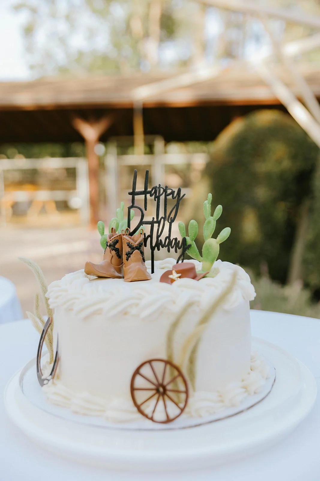 A birthday cake decorated with cactus, cowboy hat, and wagon wheel toppers, and a 'Happy Birthday' sign, outdoors with blurred background.
