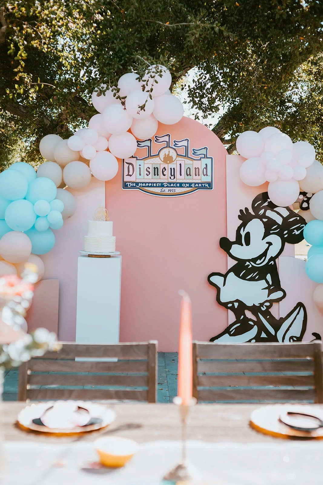 Disney themed birthday party decor from in Newport Beach — Orange County event photographer Tesla Rae Photo
