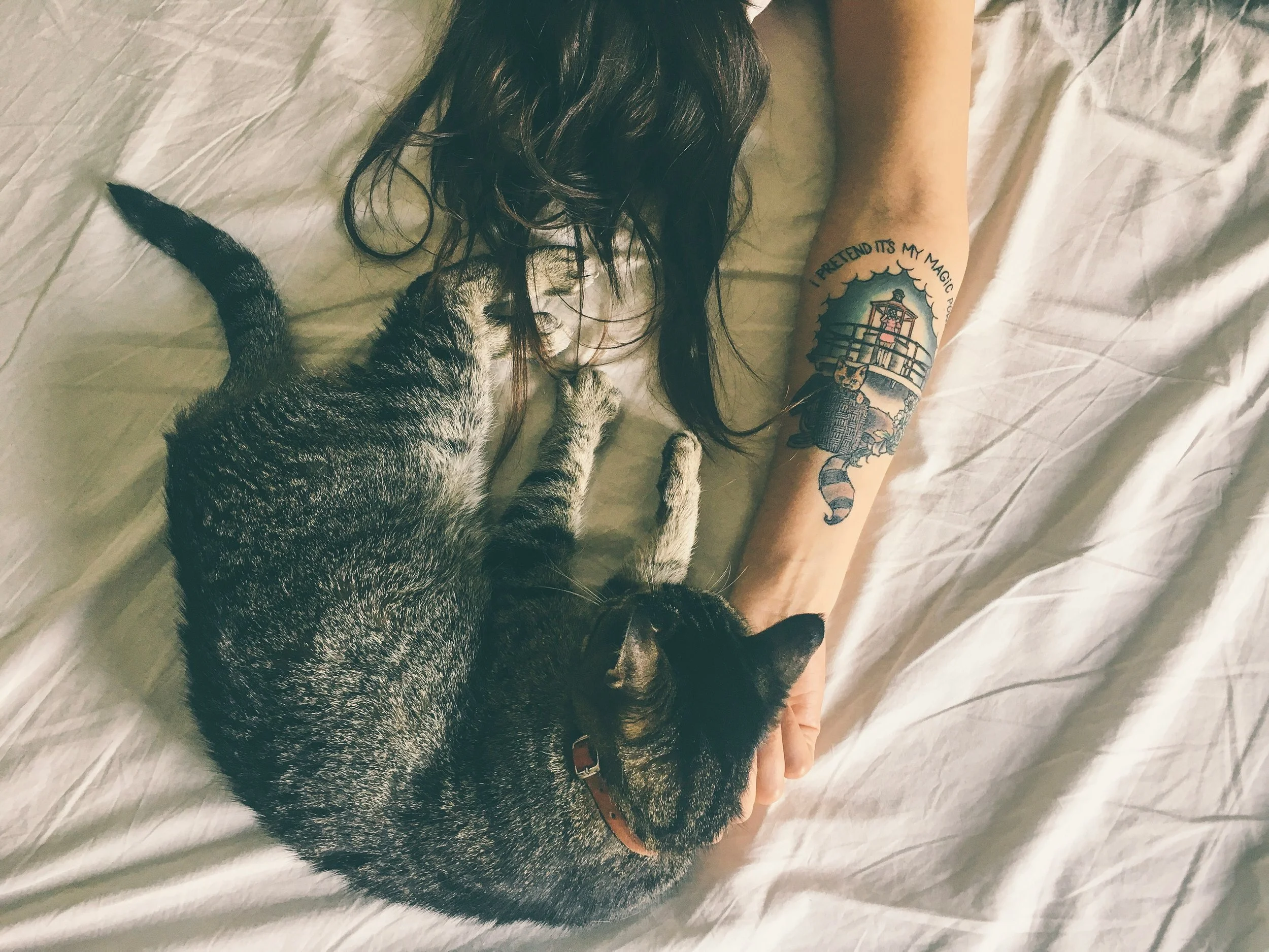 A person with long dark hair lying on a bed with a white sheet, showing a tattoo on their arm of a lighthouse and the text 'I PRETEND IT'S MY MAGIC.' A kitten with black and gray fur is resting on their body.