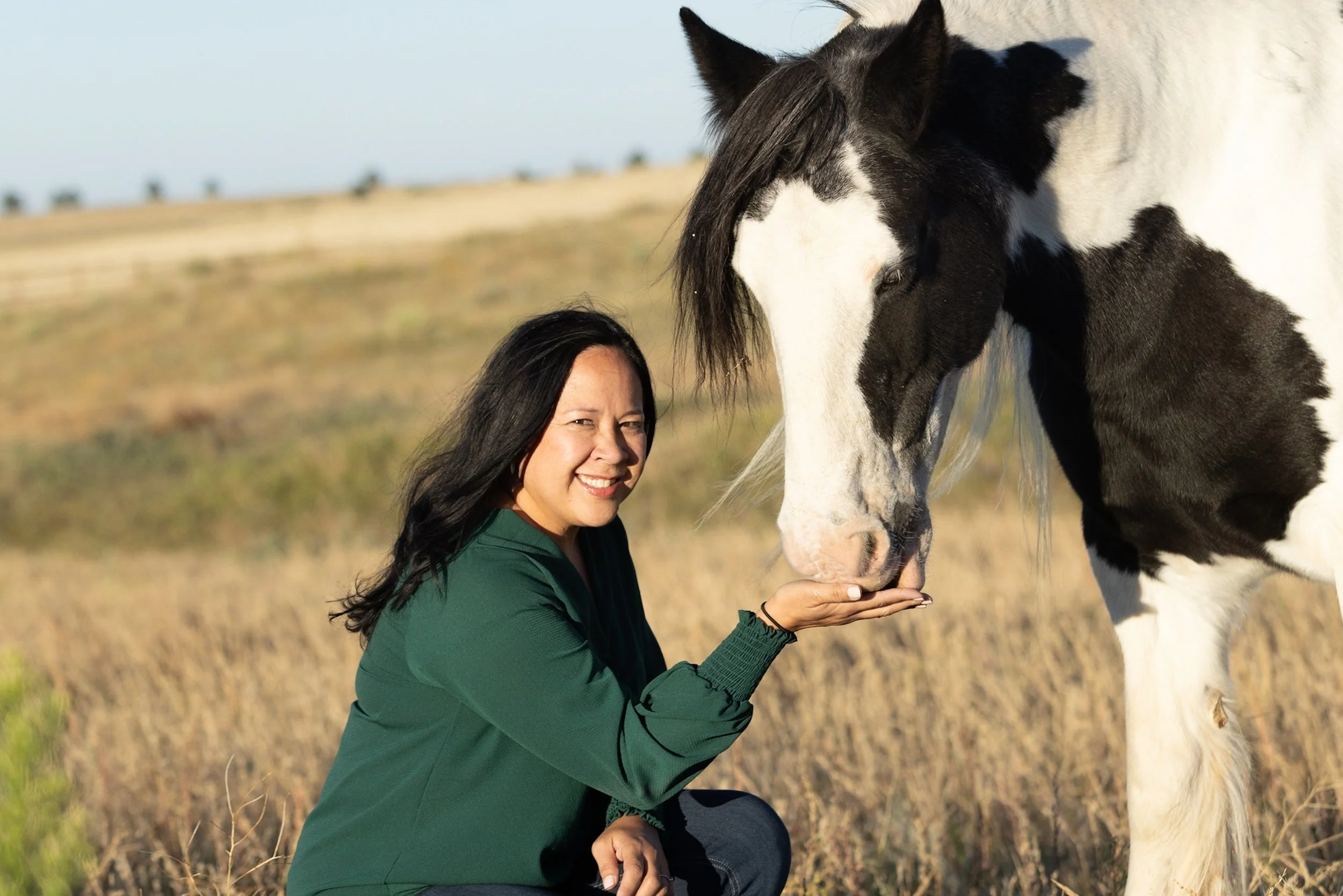 SoulSync Retreat with Trusting Equus and Renee Metty
