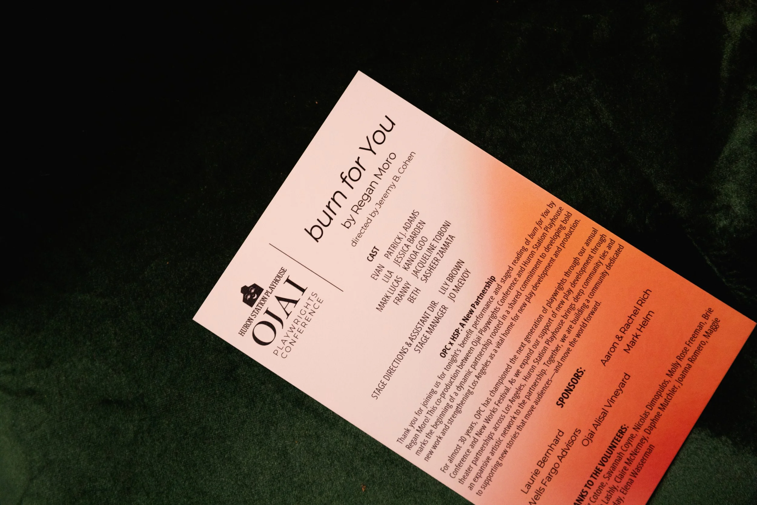 Copy of Program close-up.jpg