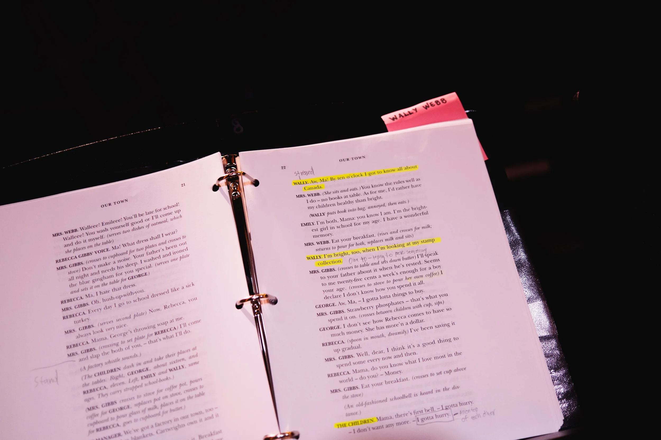 Copy of Highlighted Wally Web script.jpg