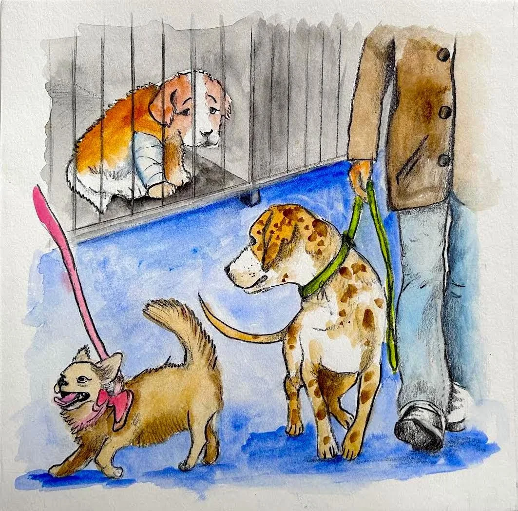 Shelter other dogs adopted.jpeg