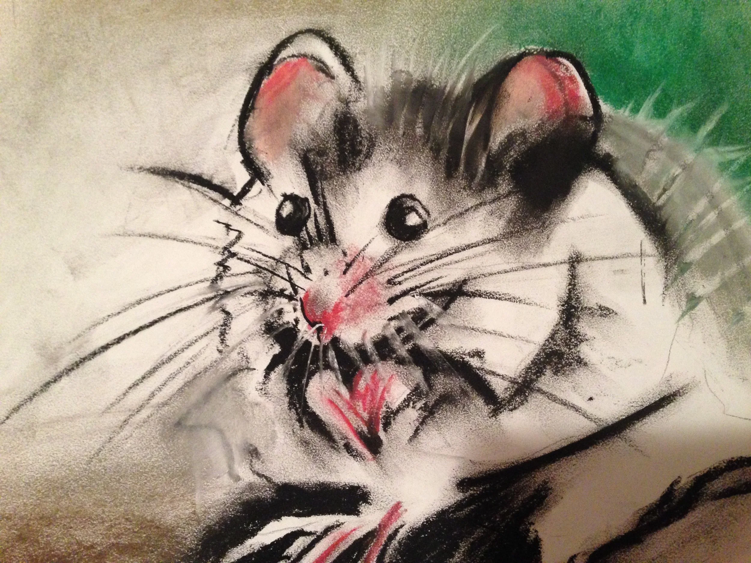 Mouse.jpg