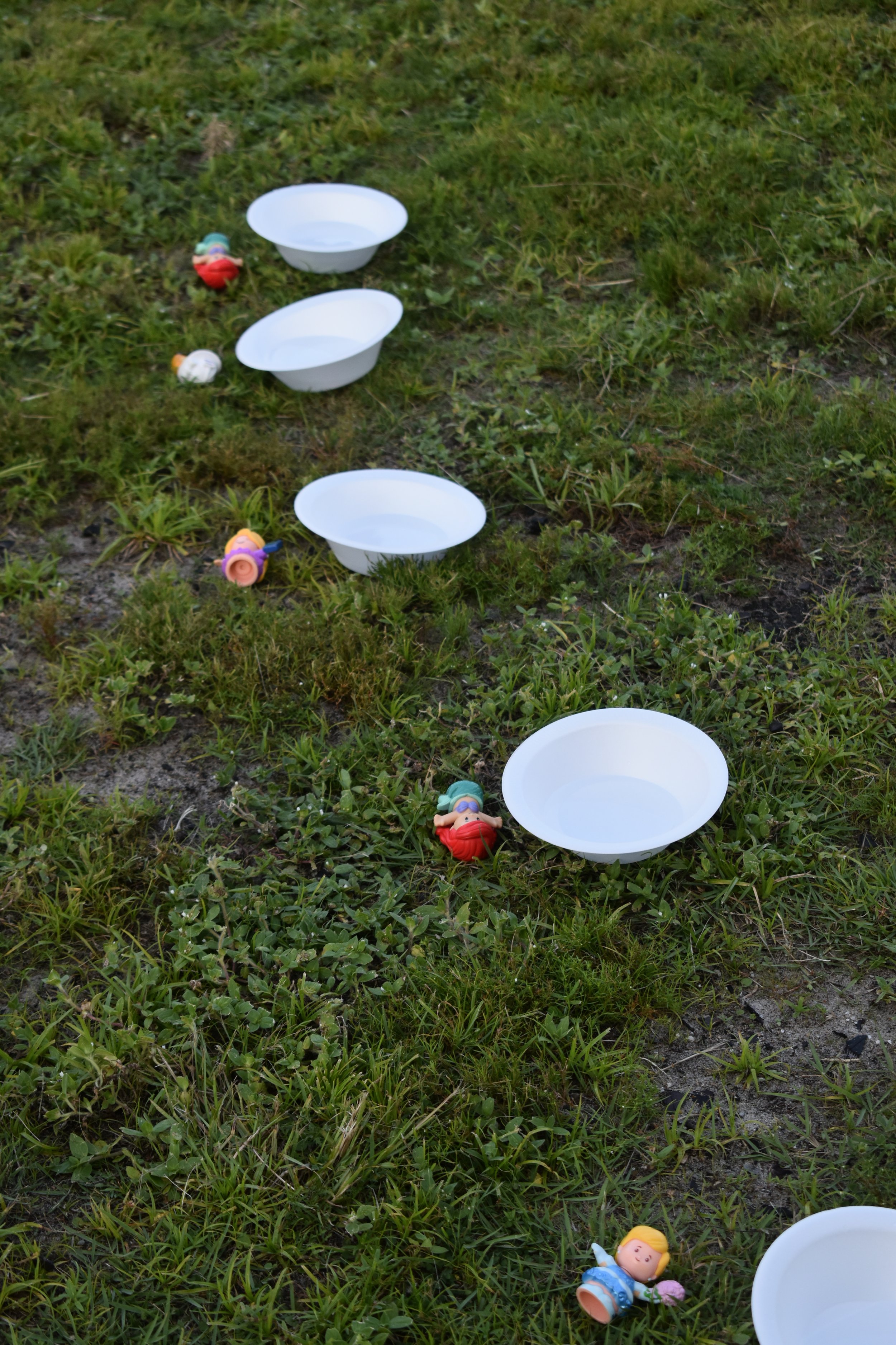DSC_0984.JPG