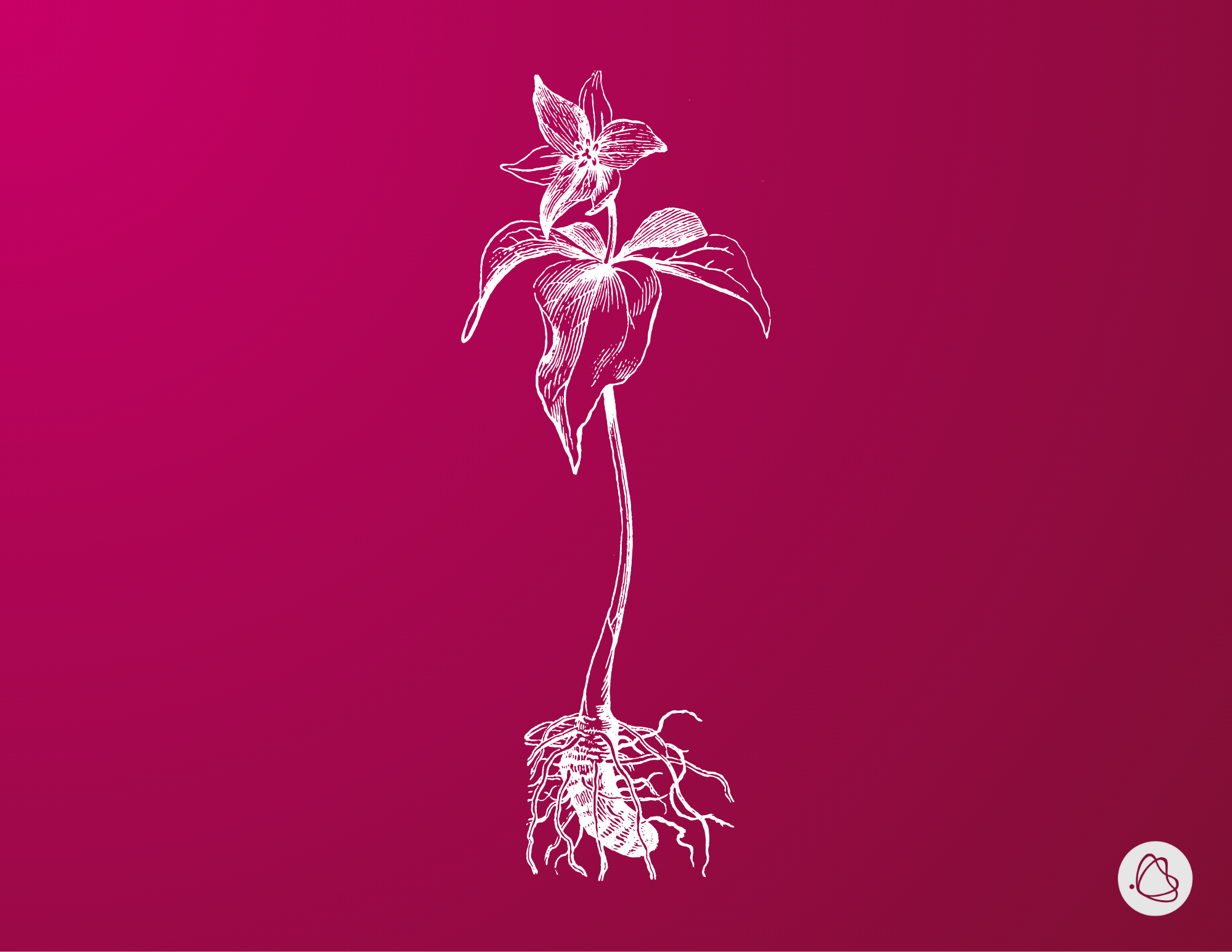 Diseño sin título-2.png