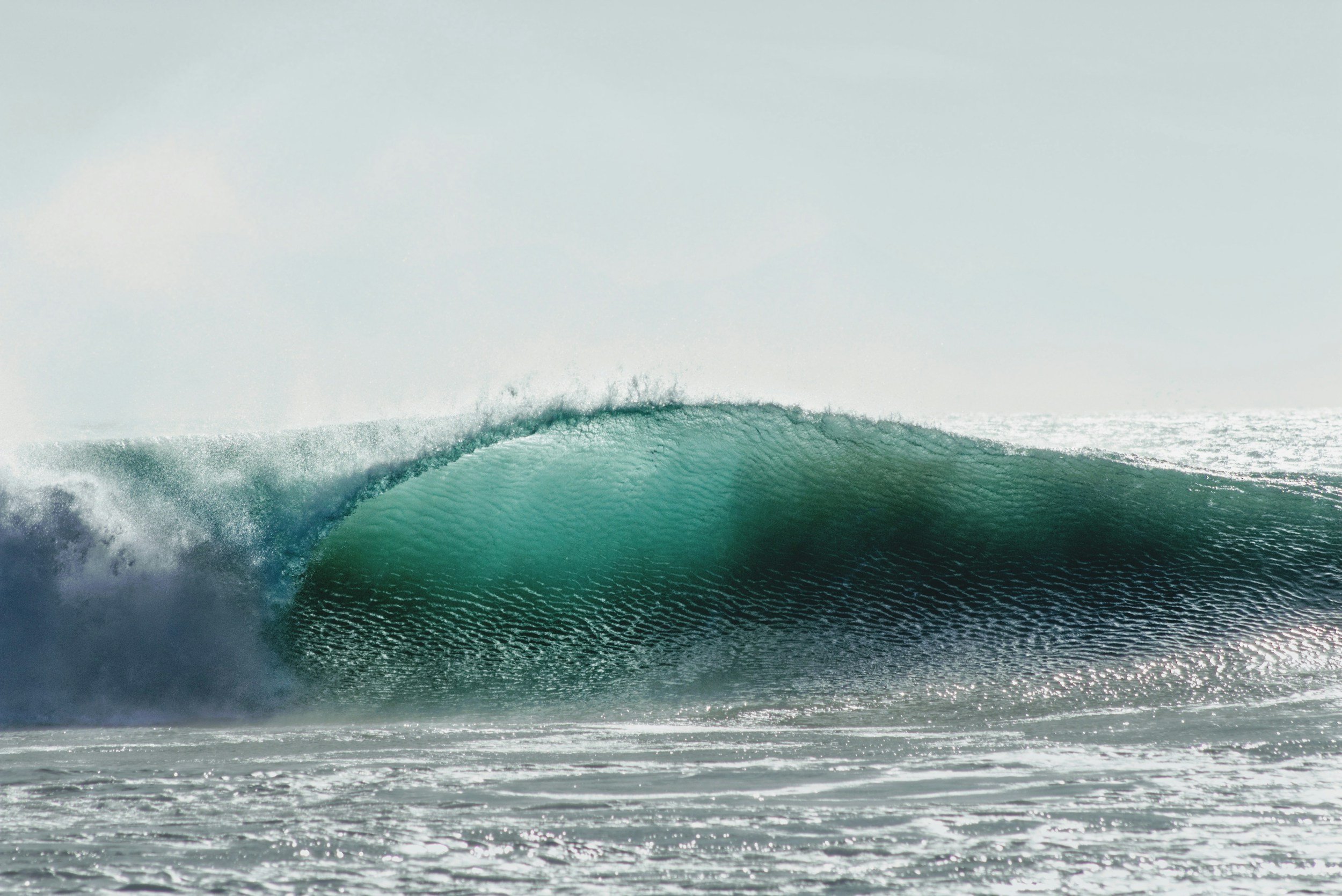 The Wave