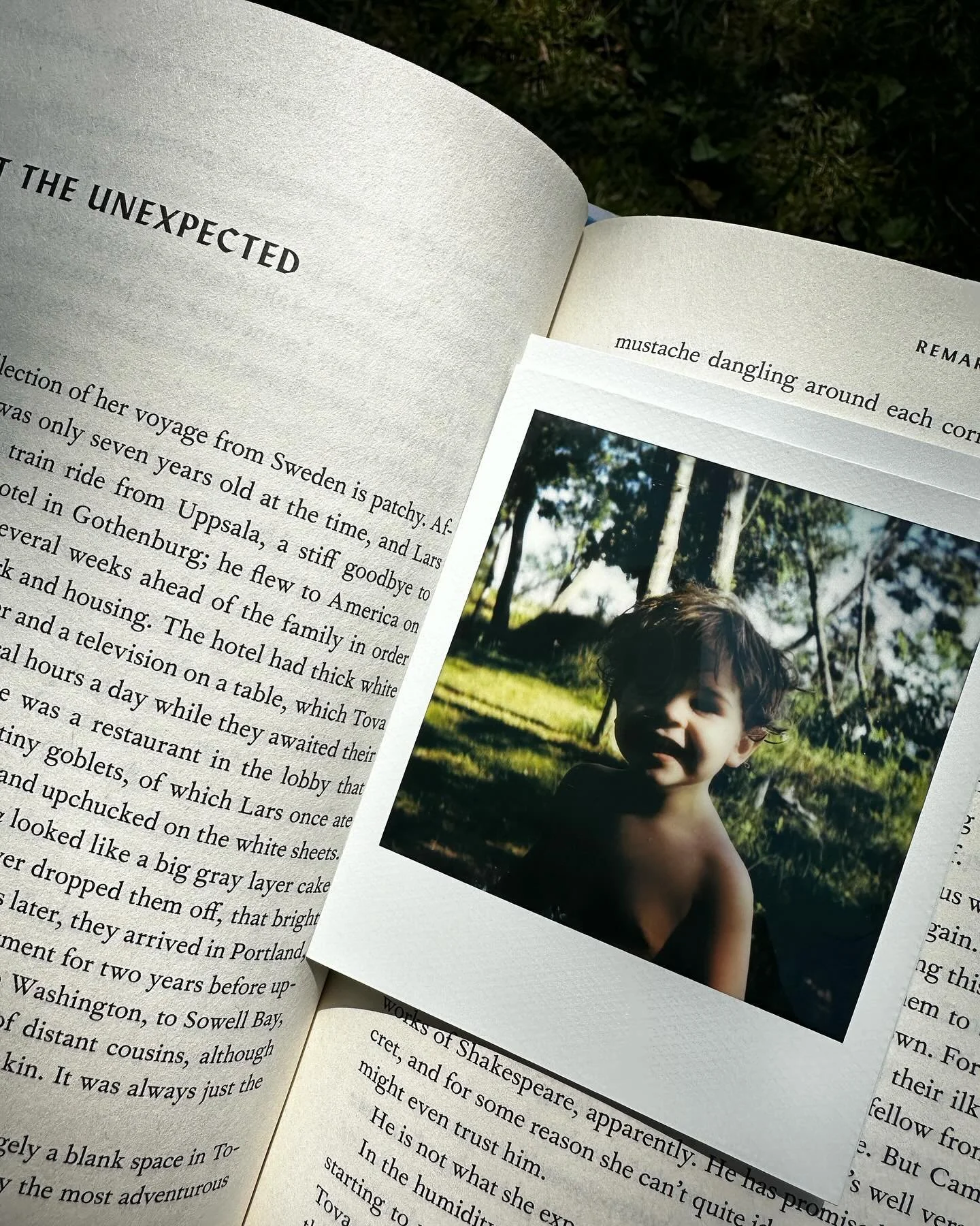 Last week-ish in the UP, where I will certainly live one day. Absolutely no filters.