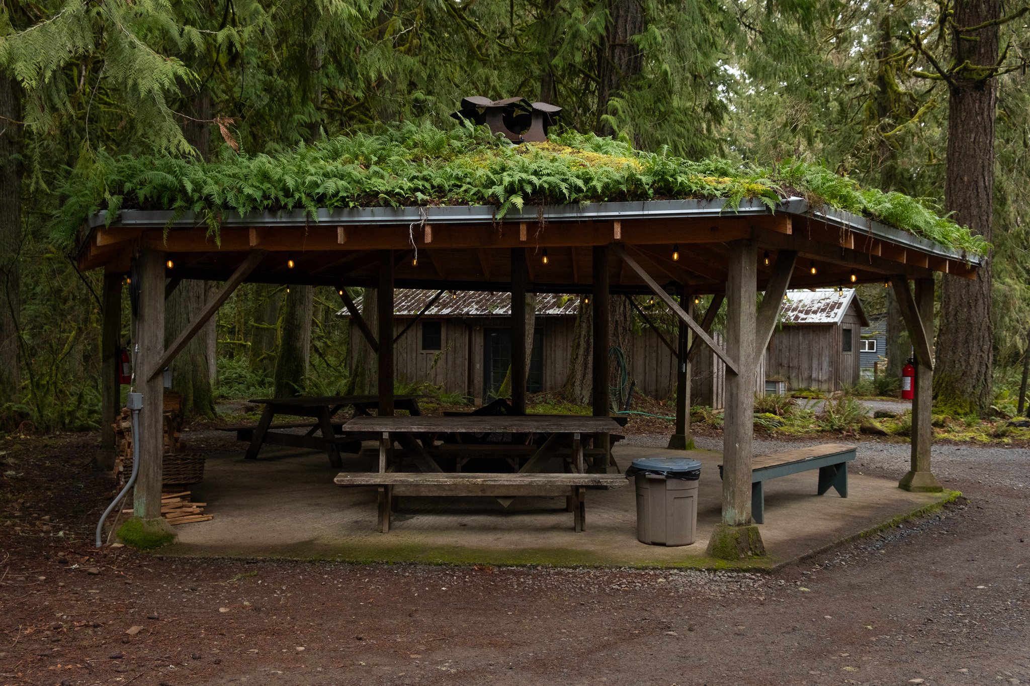 Gazebo firepit with string lights, bench seating and fern roof