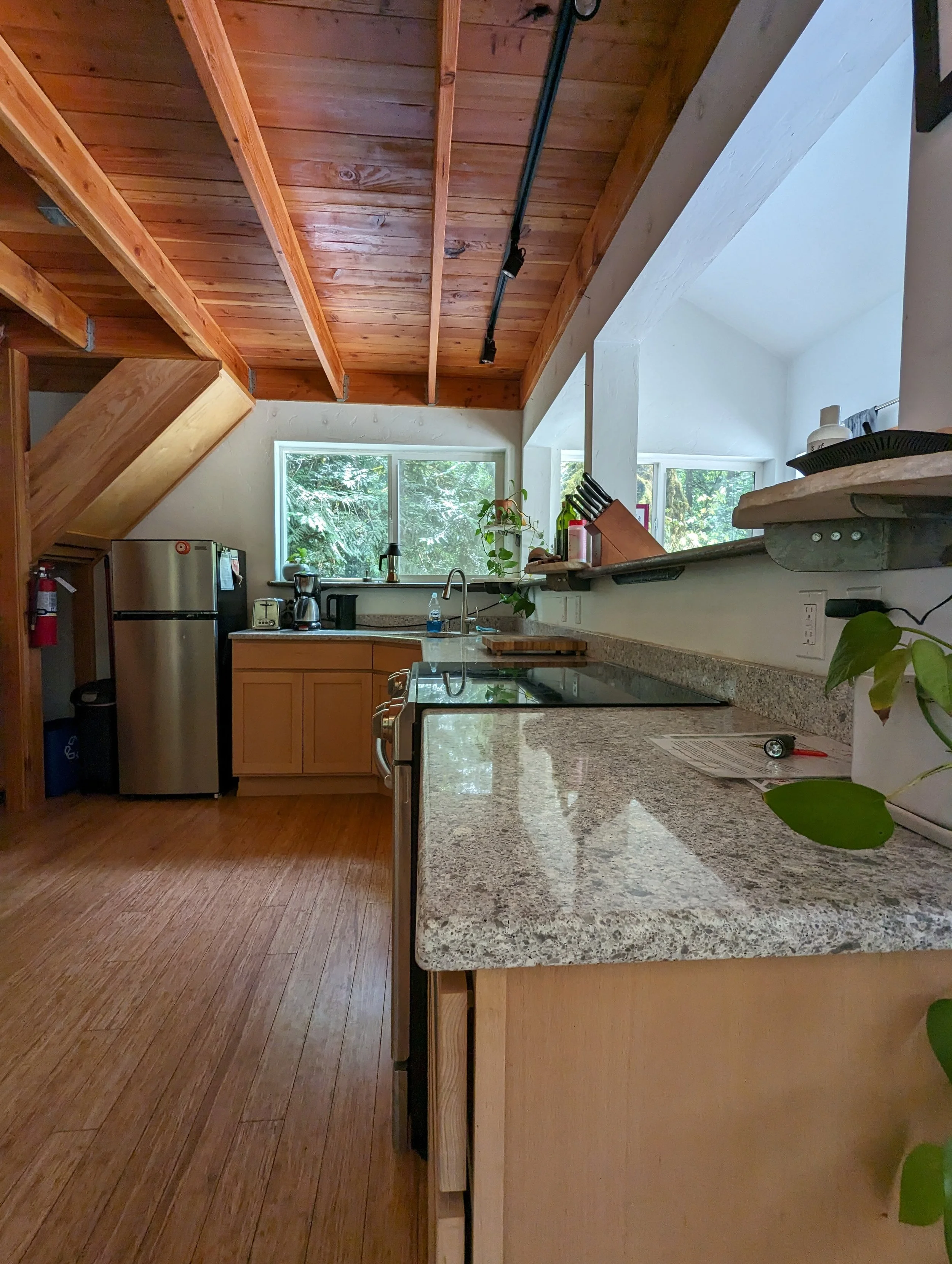 Modern kitchen with wooden ceiling, granite countertops, stainless steel appliances, and potted plants.