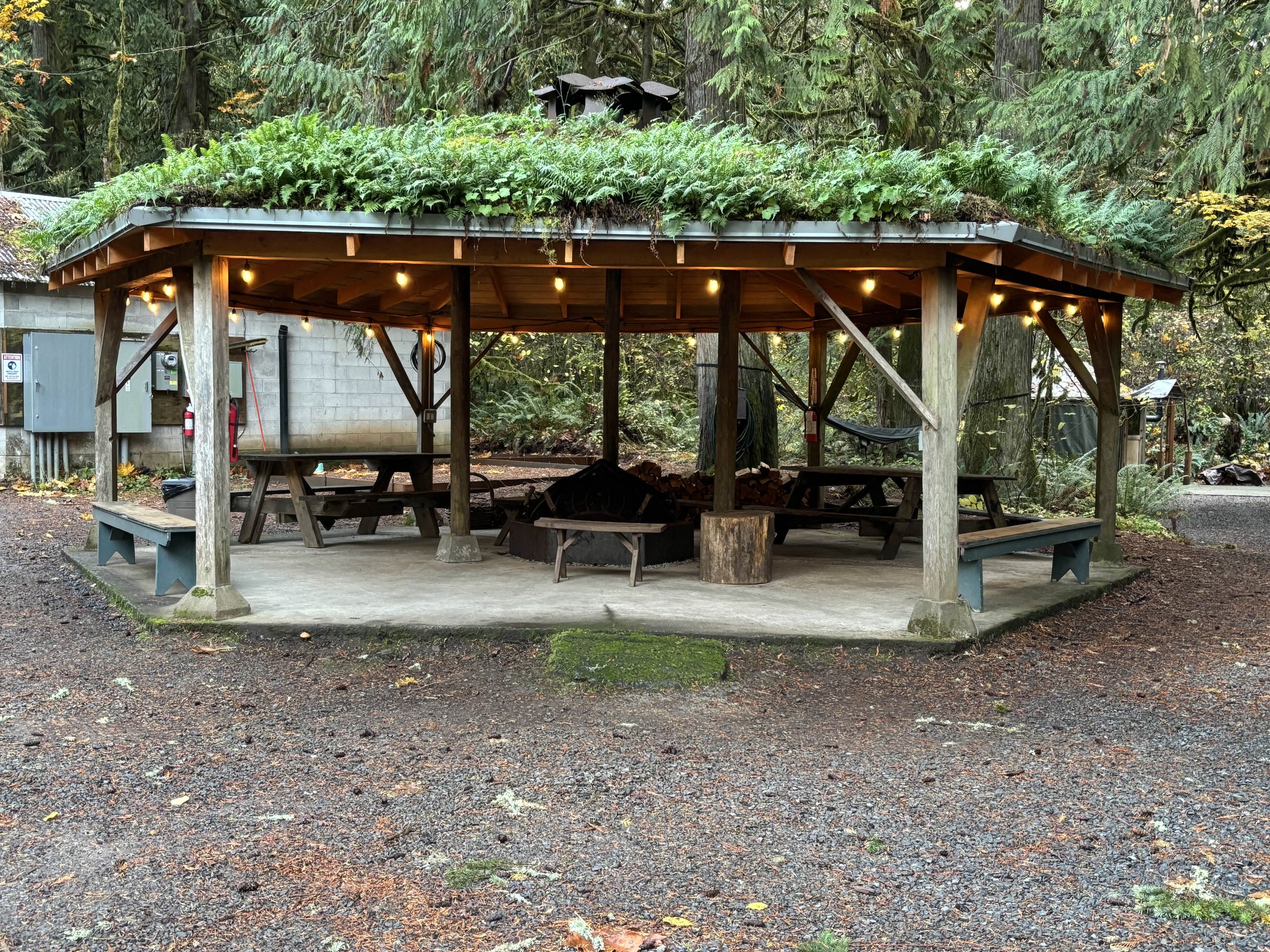 Picnic shelter with green roof in forest setting, featuring wooden benches and tables, surrounded by trees and nature.