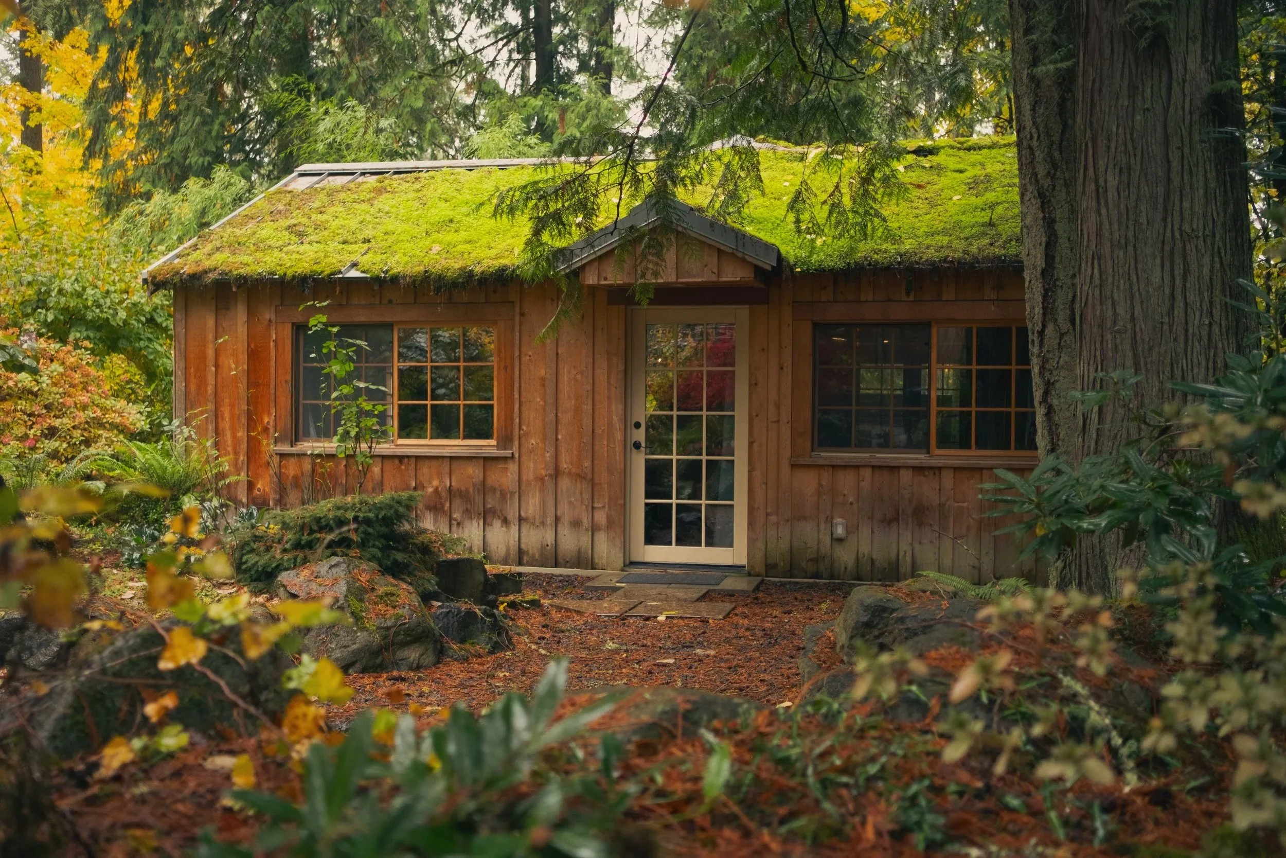 Bridal Suite Cabin