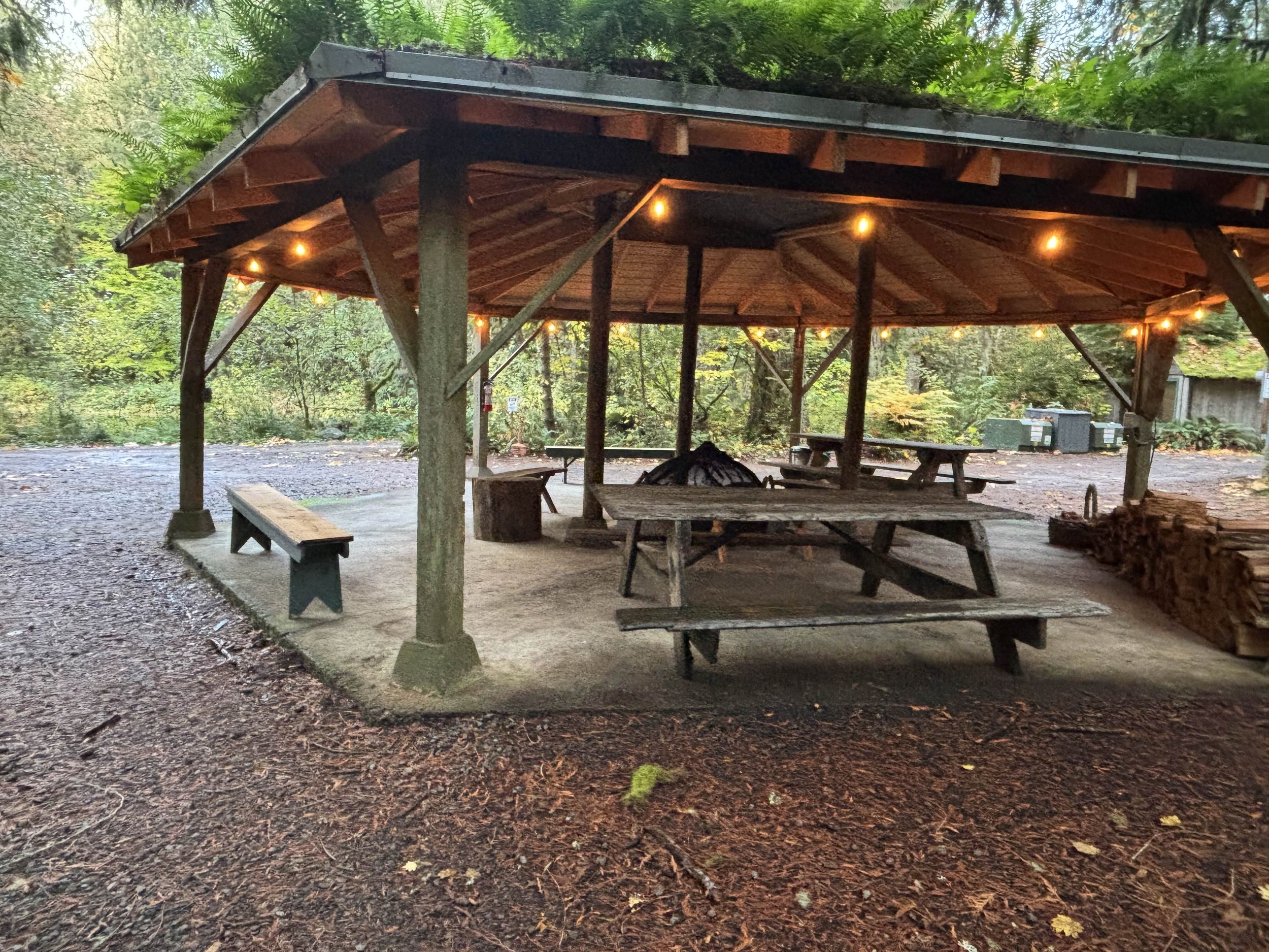 Covered picnic area with wooden tables and benches, surrounded by greenery and string lights, in a forest setting.