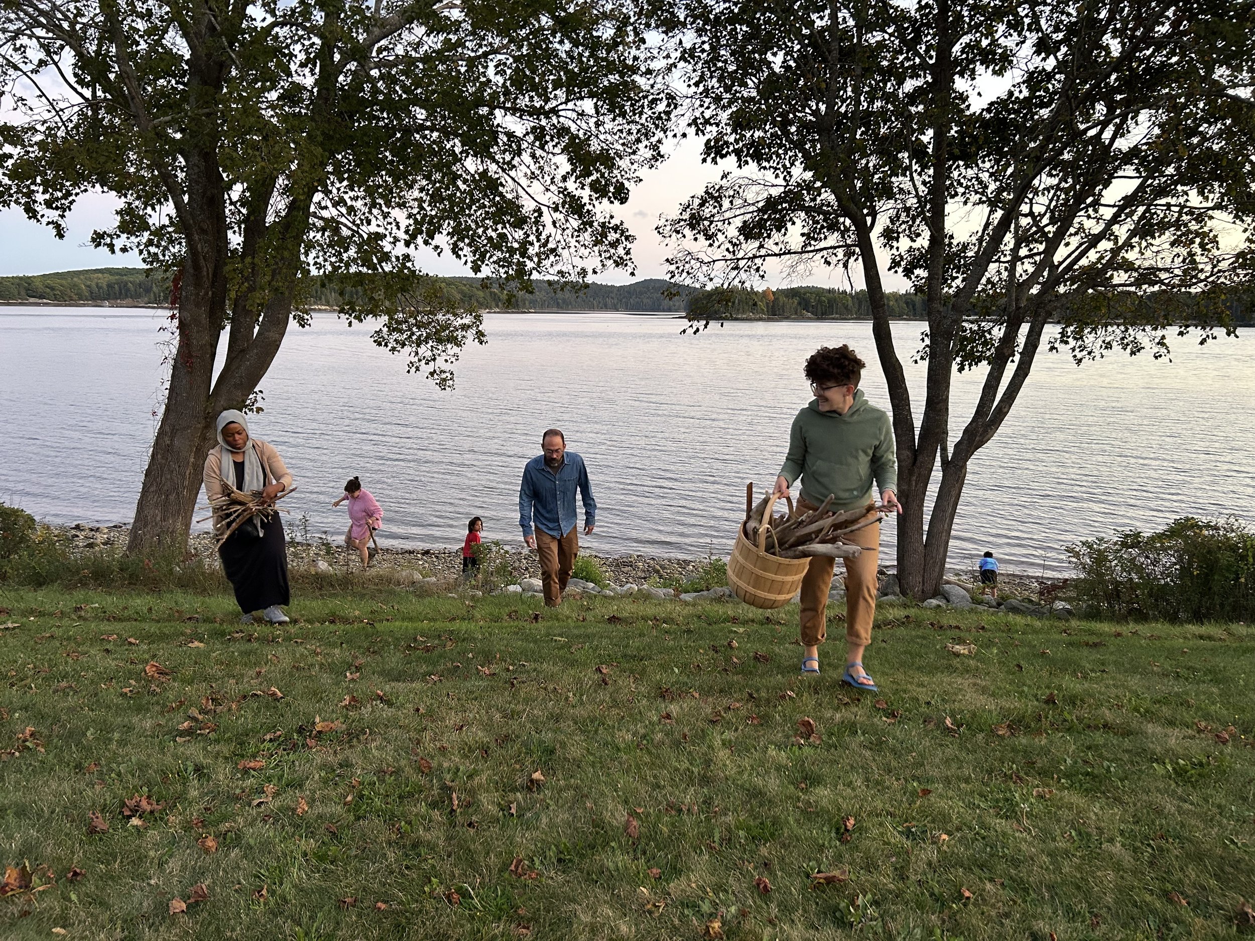 collecting driftwood.jpg