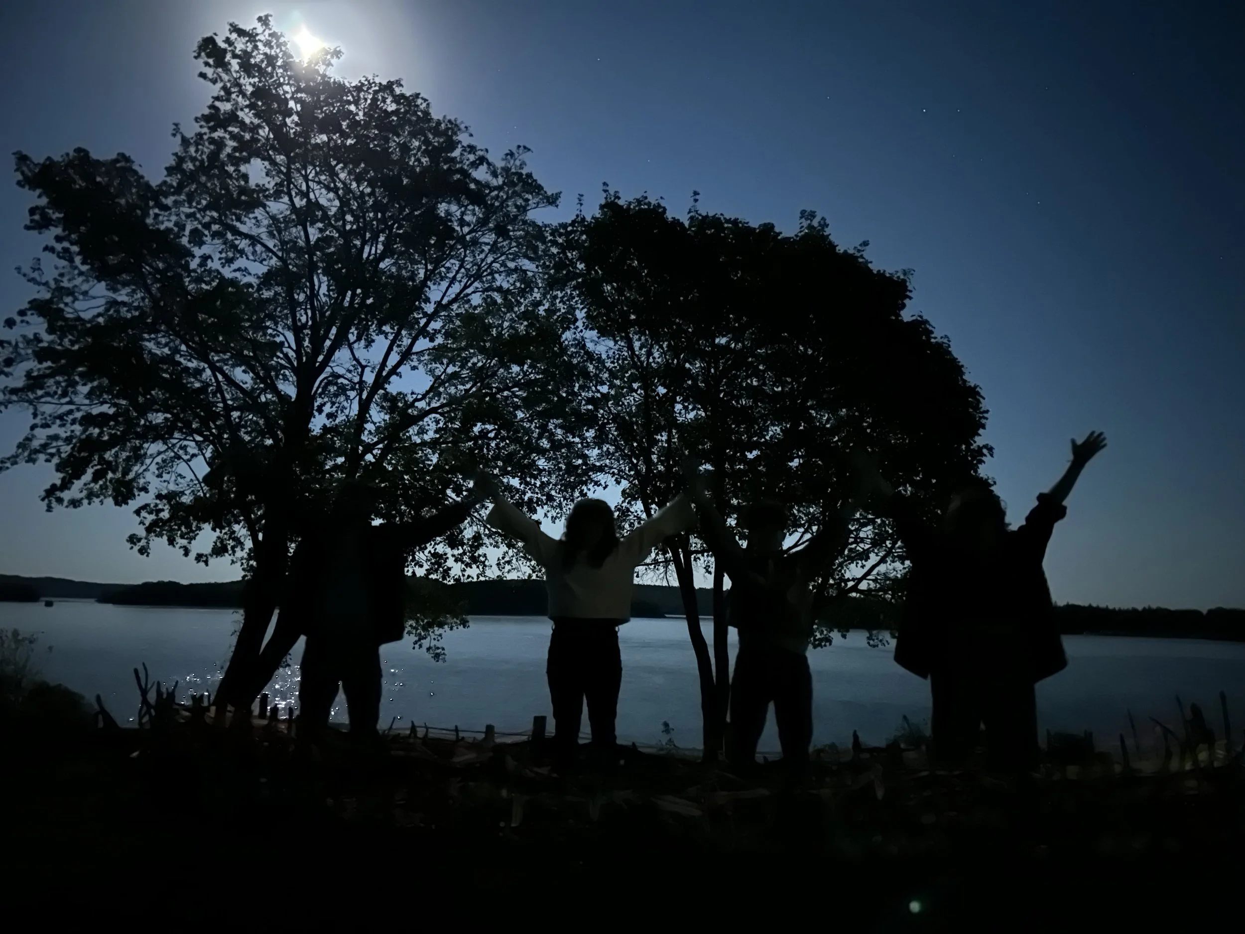 in the moonlight canoe.jpg