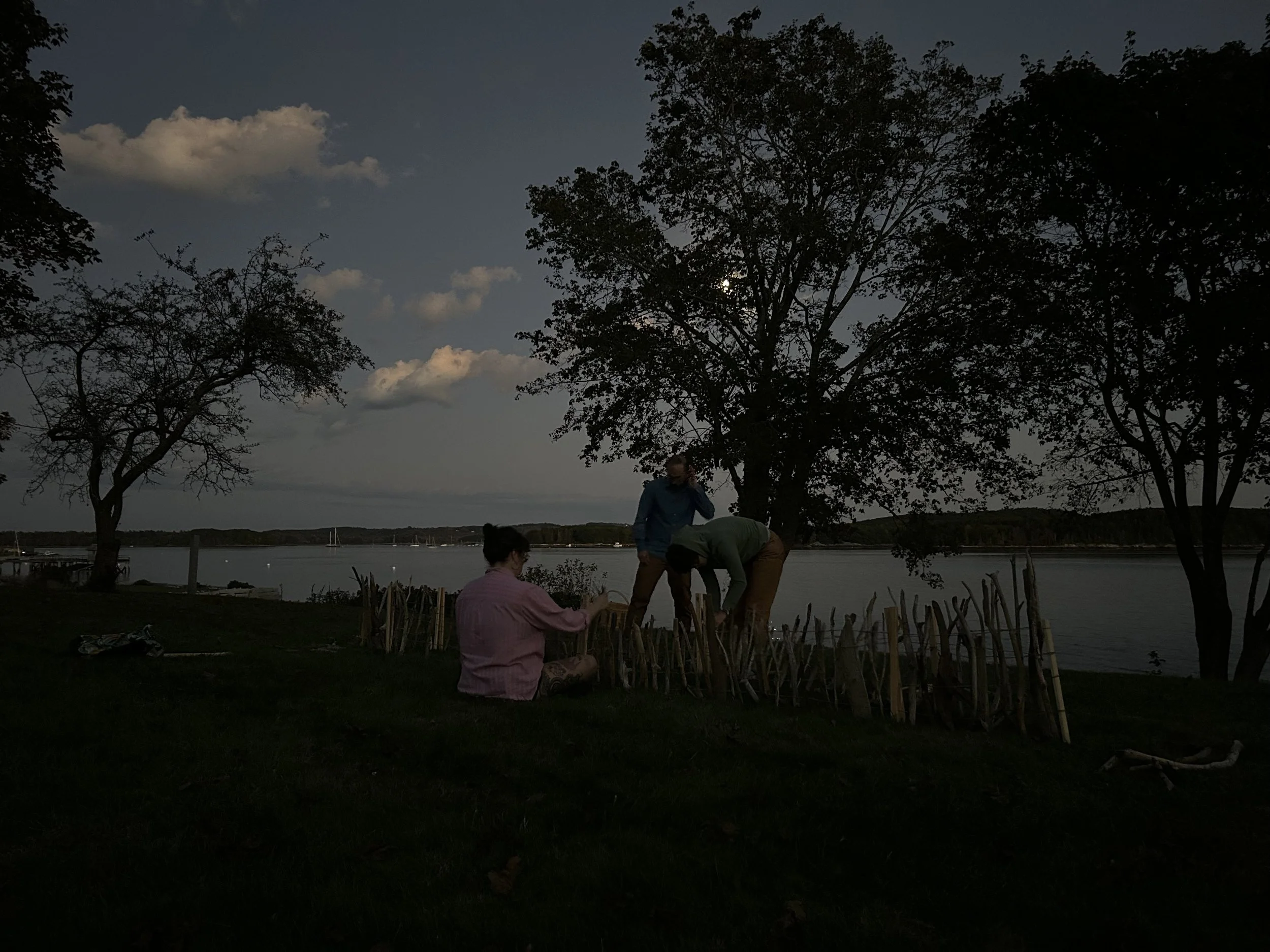 canoe in moonlight — the beginnings.jpg