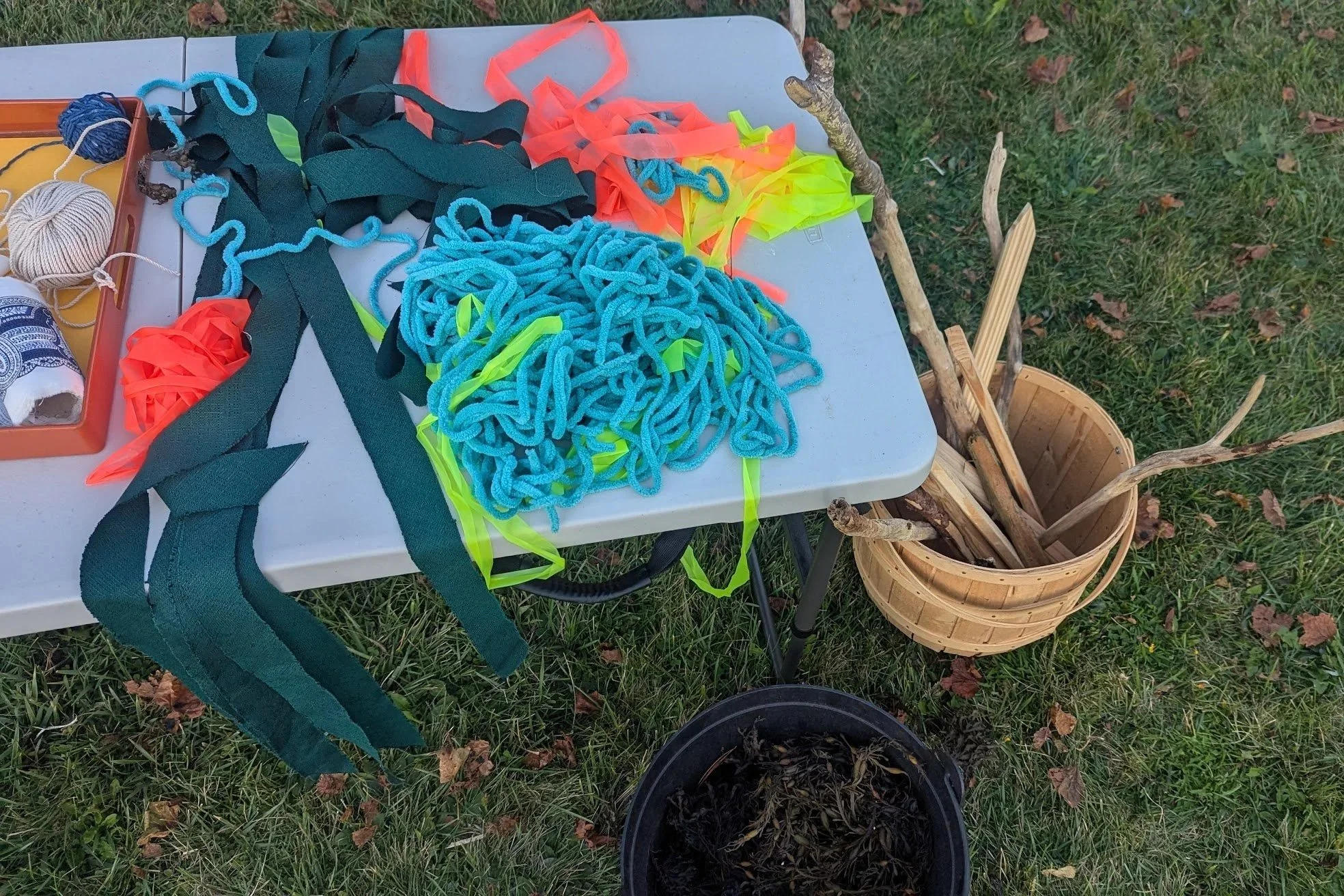 PXL_20251005_213923573 (1).jpg