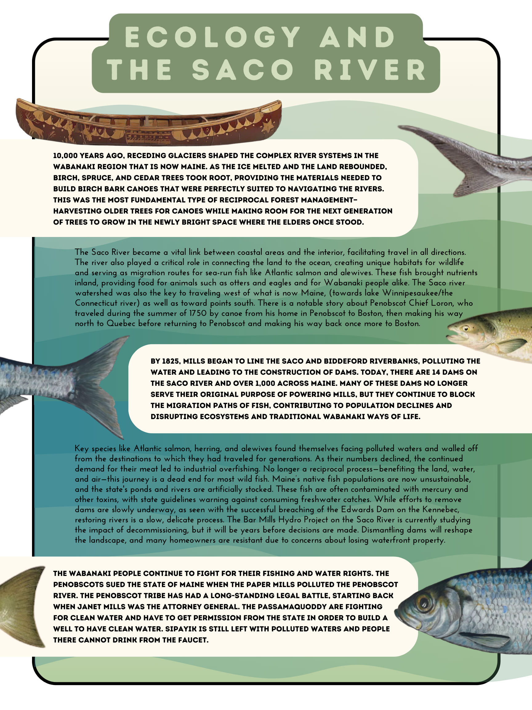 Ecology and the Saco River
