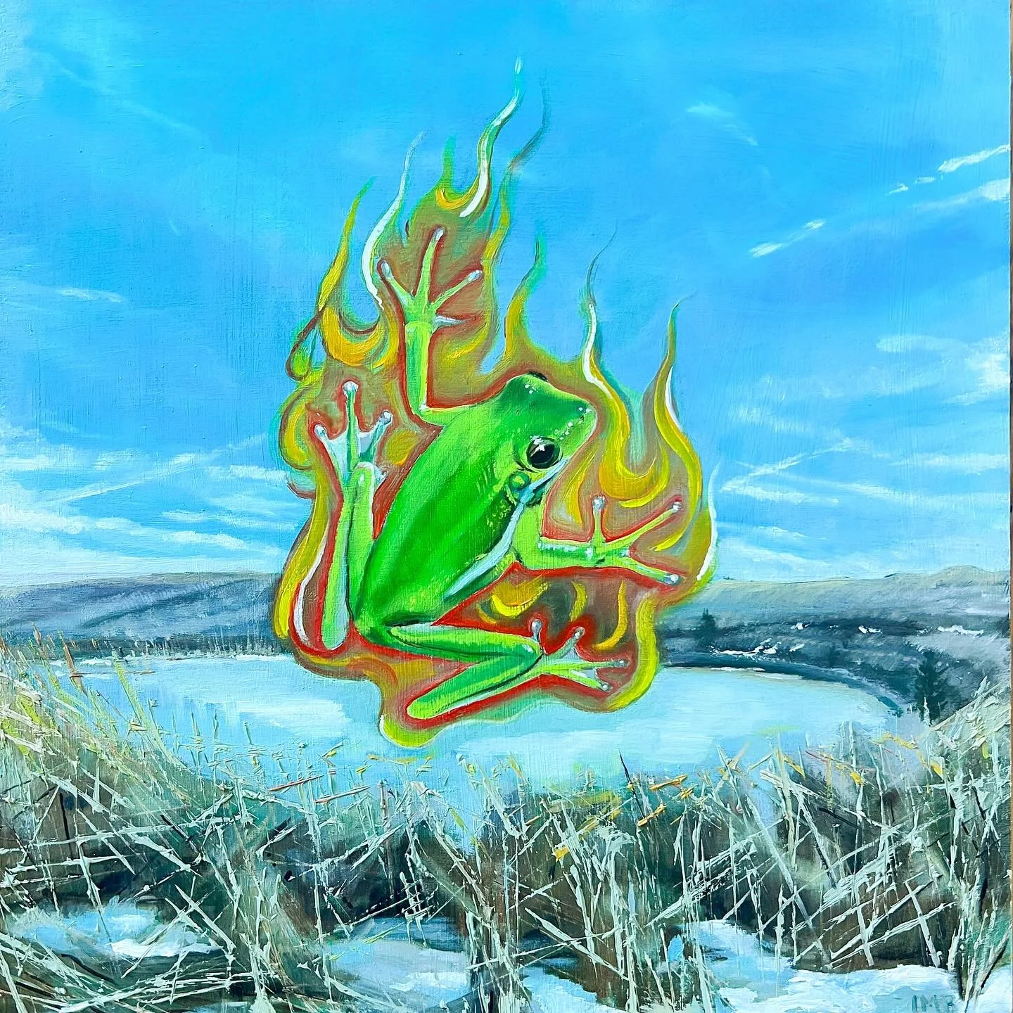 I recently saved a frog from certain death. It was darting under the seats at an outdoor theater. Through the first act, I couldn&rsquo;t stop imagining it being crushed. At intermission, I scooped it into my hands. Its tiny heart was pounding so fas