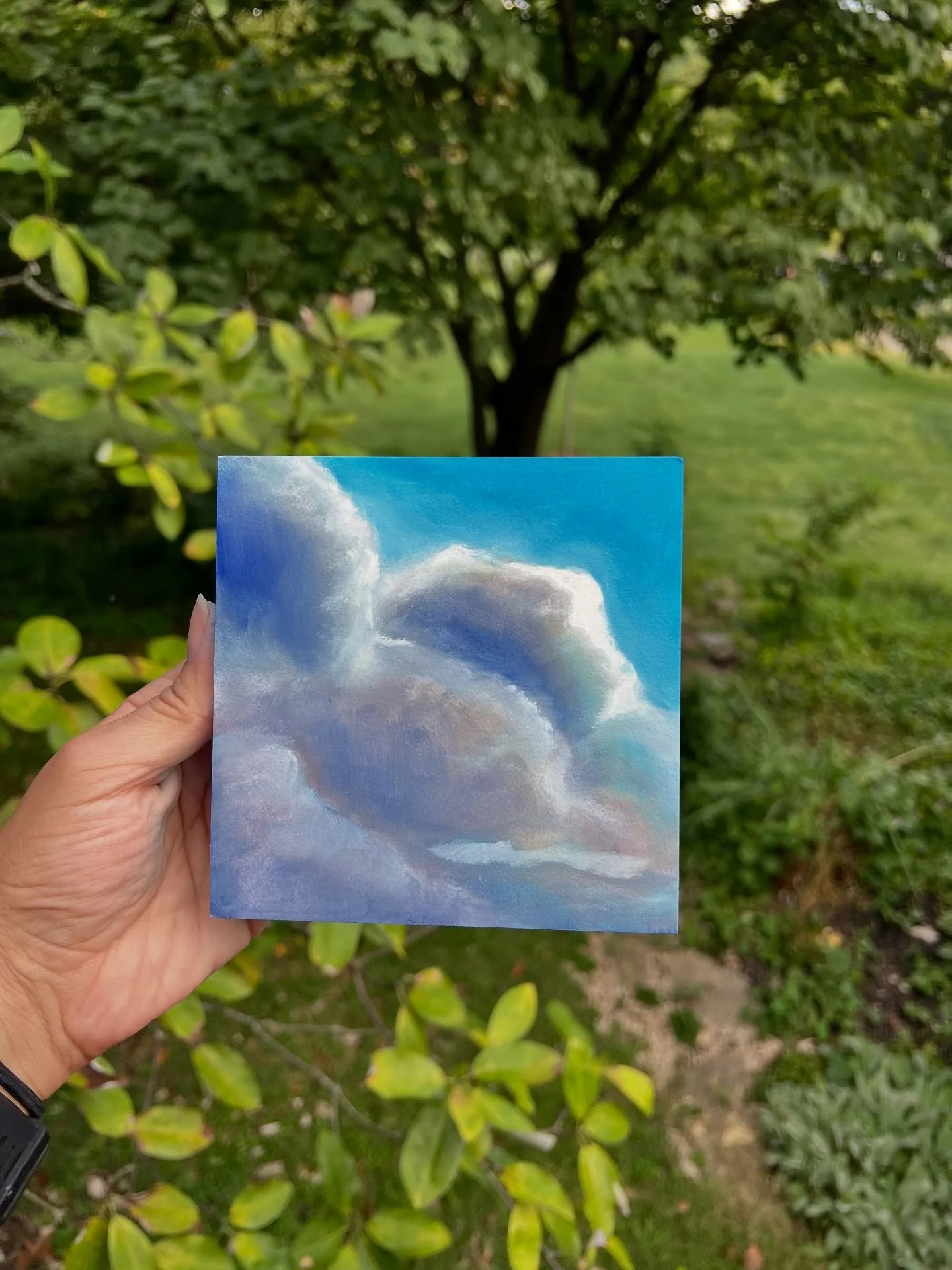 There is power in practice.

After painting cloud after cloud this month, I finally arrived at one I truly love. Every hour of repetition taught me something small about light, about patience, about myself.

This is my most recent cloud ☁️, and my fa