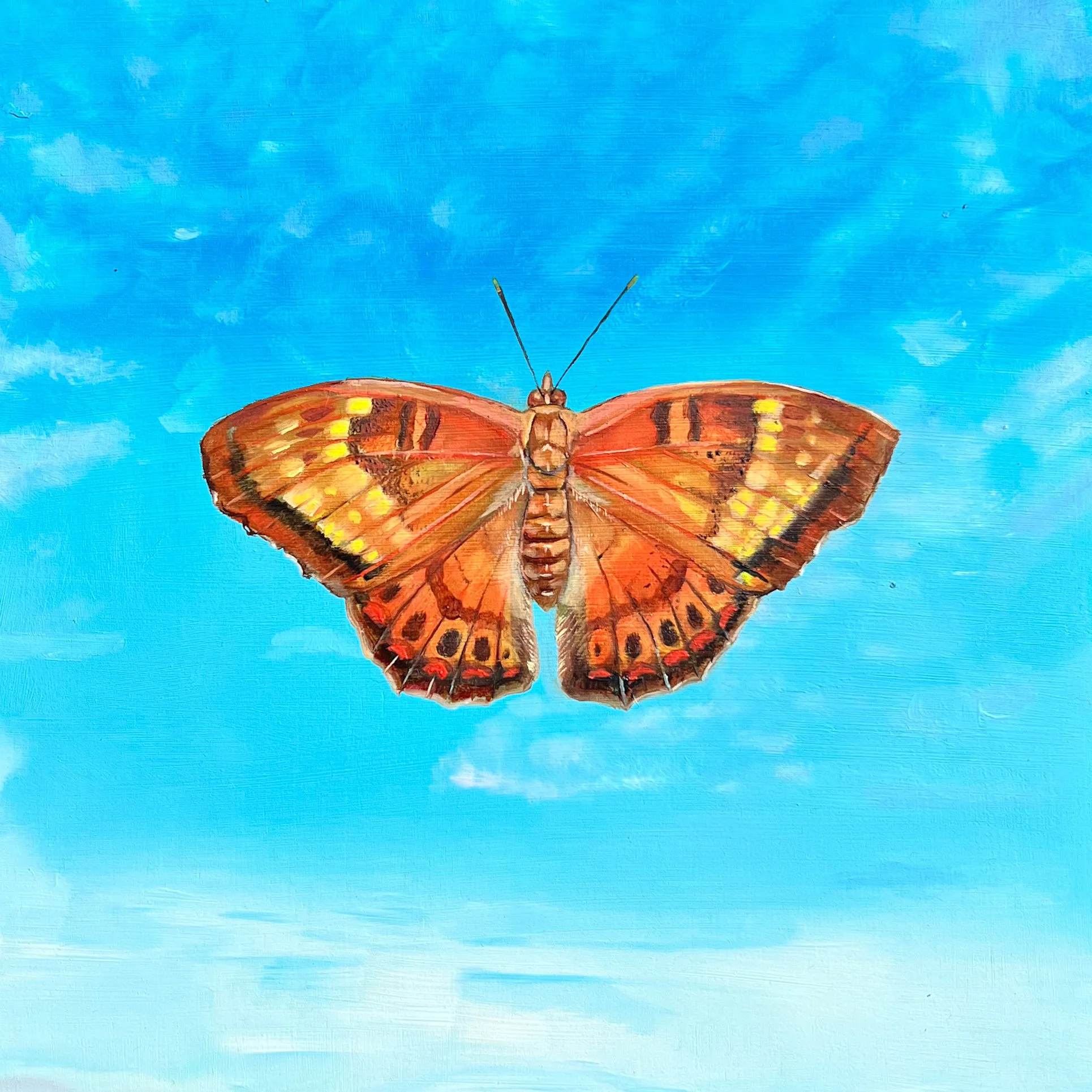 Tawney Emperor | 2026 | Oil on Panel | 10"x10"