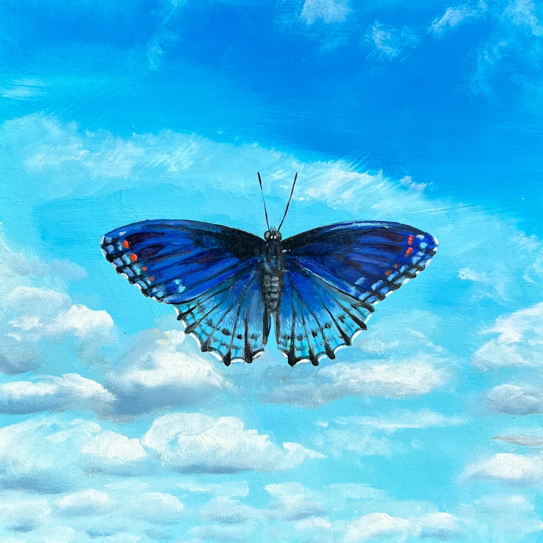 Red Spotted Purple | 2026 | Oil on Panel | 10"x10"