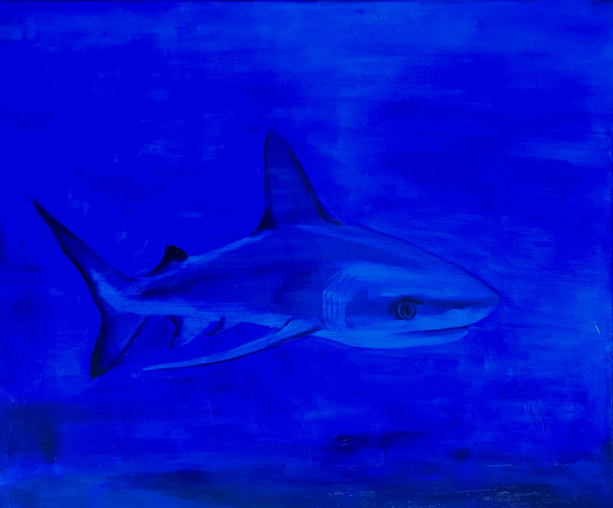 In the Blue Deep | 20"x24"| Oil on Canvas
