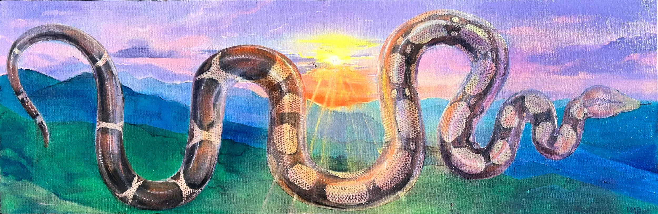 Sky Dancer | 2024 | Oil on Canvas | 12"x36"