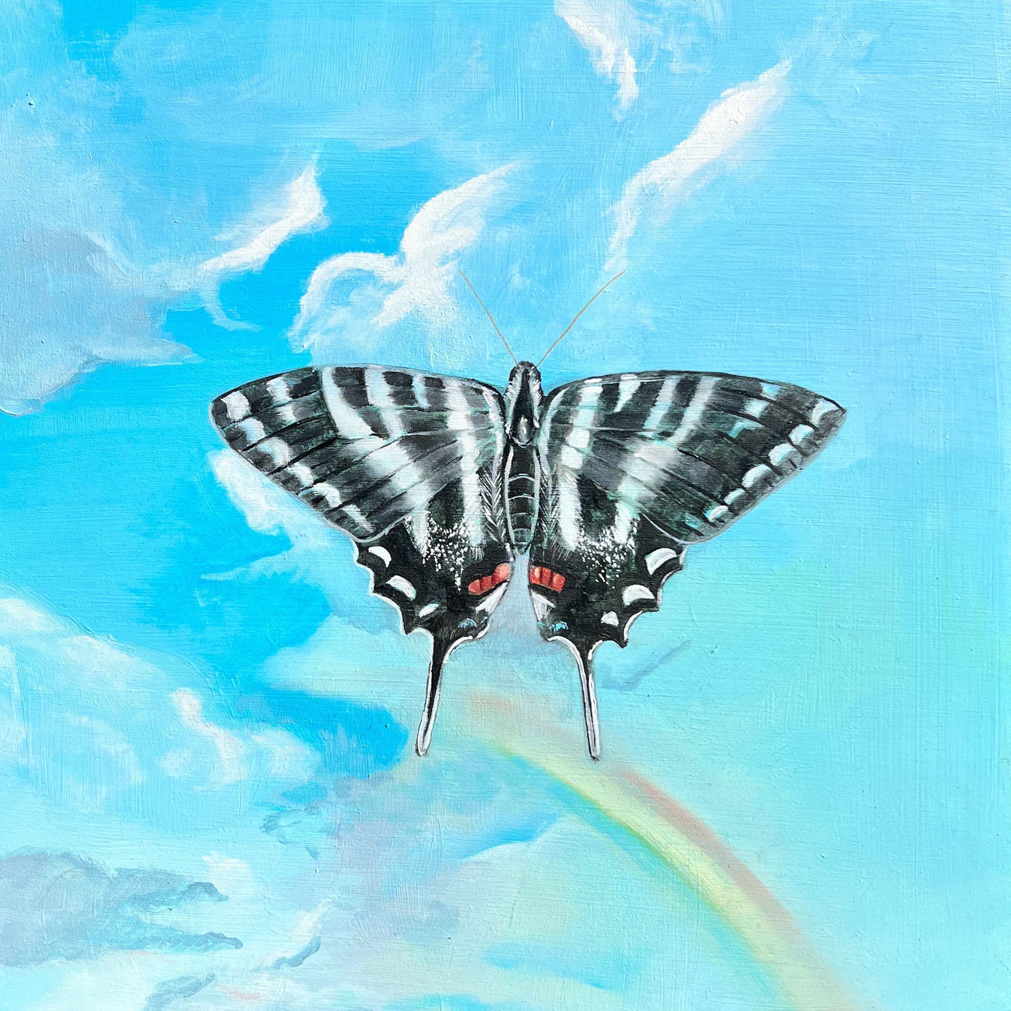 Zebra Swallowtail | 2026 | Oil on Panel | 10"x10"