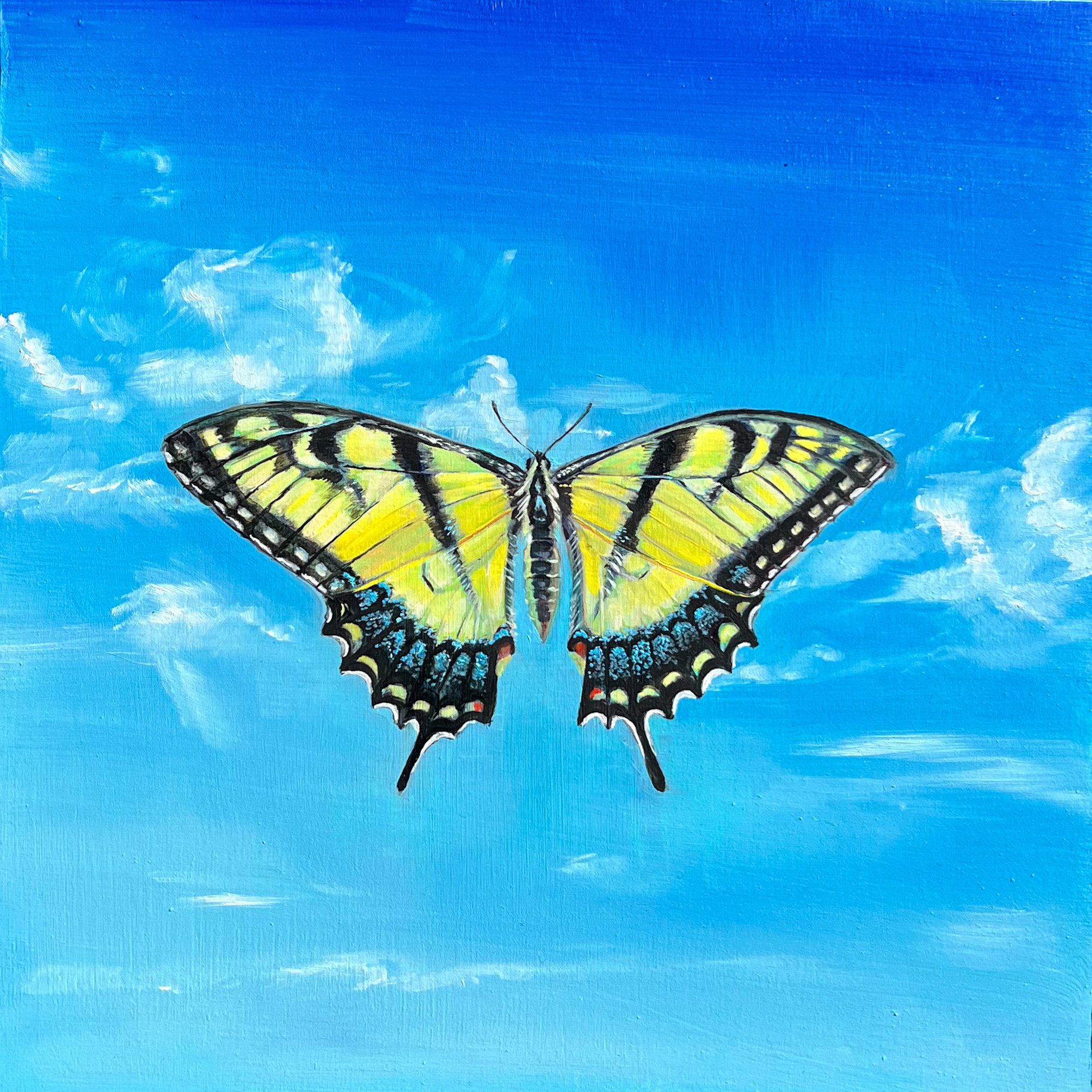 Eastern Tiger Swallowtail | 2026 | Oil on Panel | 10"x10"