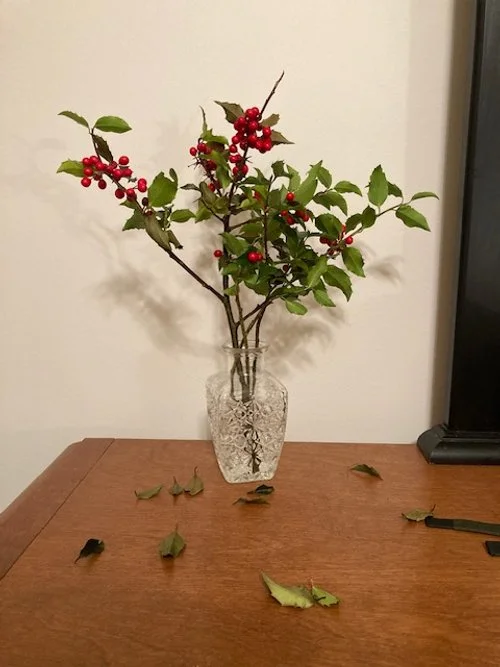 image6 (5).jpeg