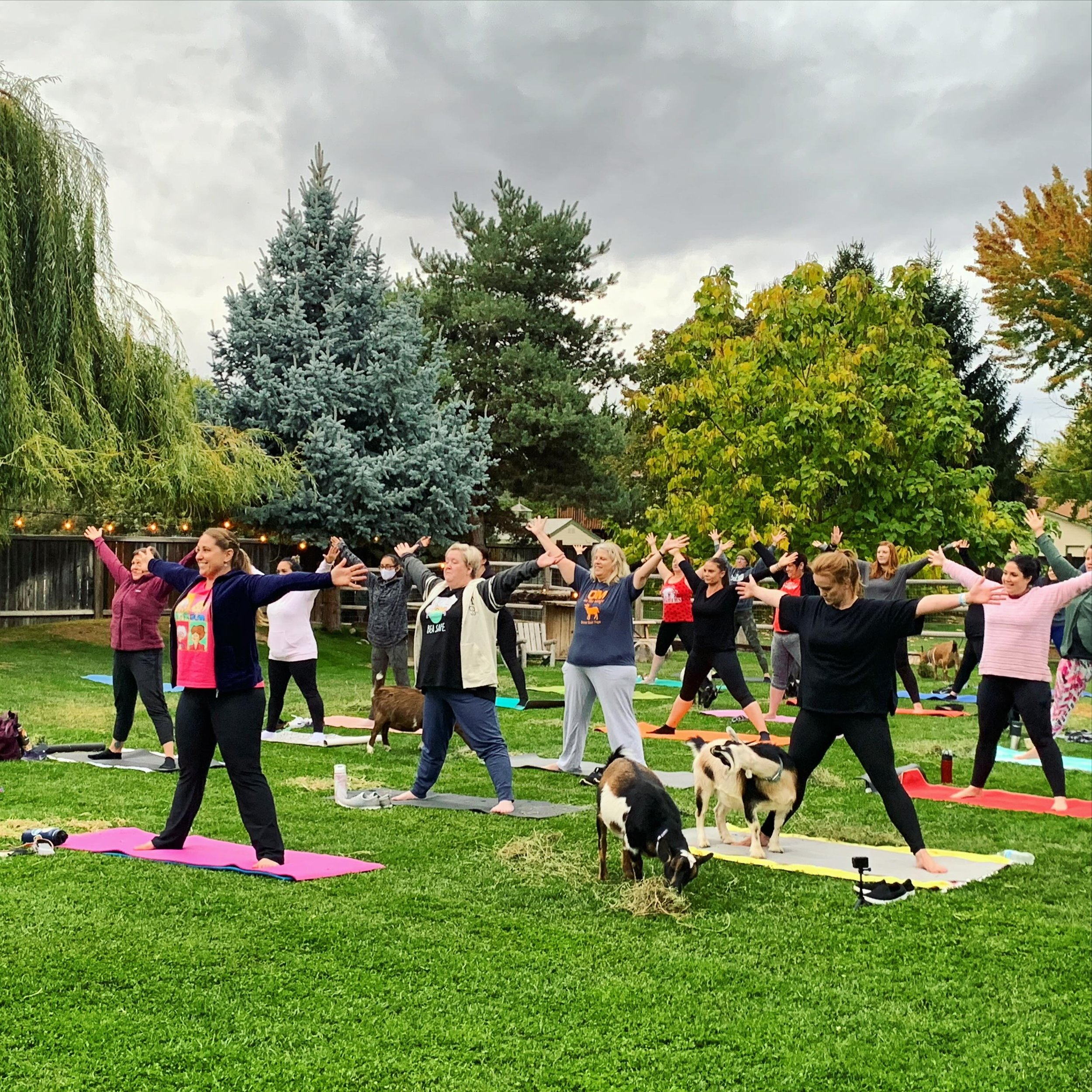 What do you love most about outdoor yoga with goats?

1️⃣ a chance to be lighthearted 

2️⃣ a chance to move my body 

3️⃣ I&rsquo;m just here for the goats 

4️⃣ all of the above! 

The season opener of Boise Goat Yoga is on April 21 and spots are a