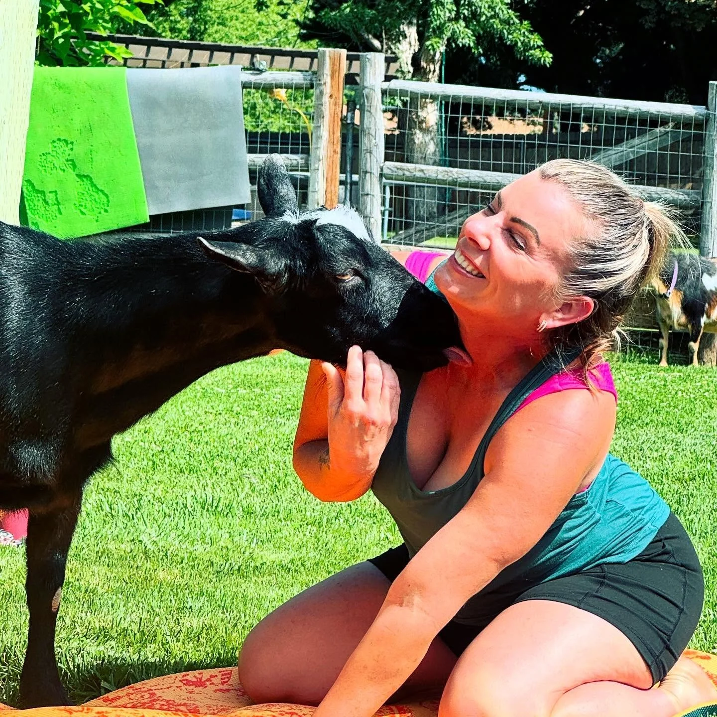 What a fun morning doing some goat yoga with Better Homes &amp; Gardens Real Estate! The sun was shining and so were the happy faces. Thank you so much for joining us! 

#boisegoatyoga