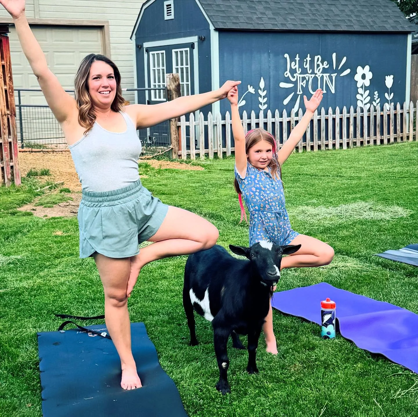 Thanks for joining us for another joyful evening of goat yoga! 🐐 🧘&zwj;♀️ 🌳 No better way to beat the heat and frolic a little. 

#boisegoatyoga #boise #omontherange #letitbefun