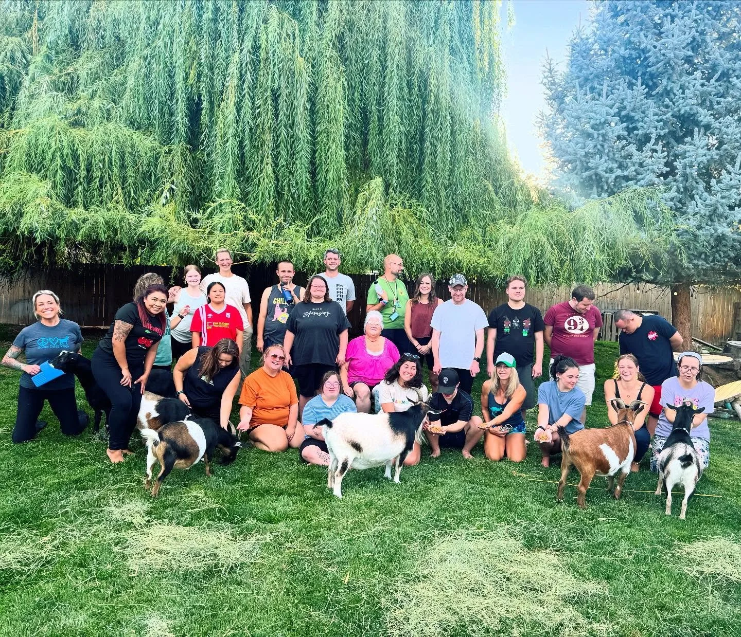 We got to host one of our favorite local organizations, @belongcoidaho , this evening for an absolutely delightful experience! 🐐 🧘&zwj;♀️ 🌳 💗 Thank you SO much for joining us again at Boise Goat Yoga. The enthusiasm is contagious! 

#goatyoga #bo