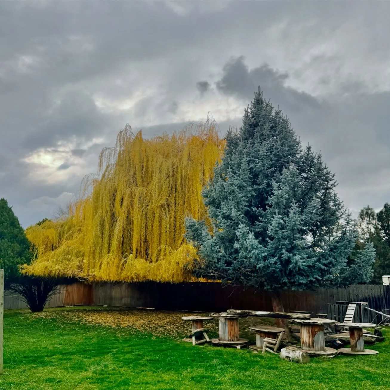 Happy Autumn from the urban farm! I&rsquo;m wrapping up my month of 🤫 hush 🤫 and excited to emerge into new a season, new offerings, and exciting new announcements. Hope you&rsquo;re staying cozy and connected, and I really hope to see you soon!