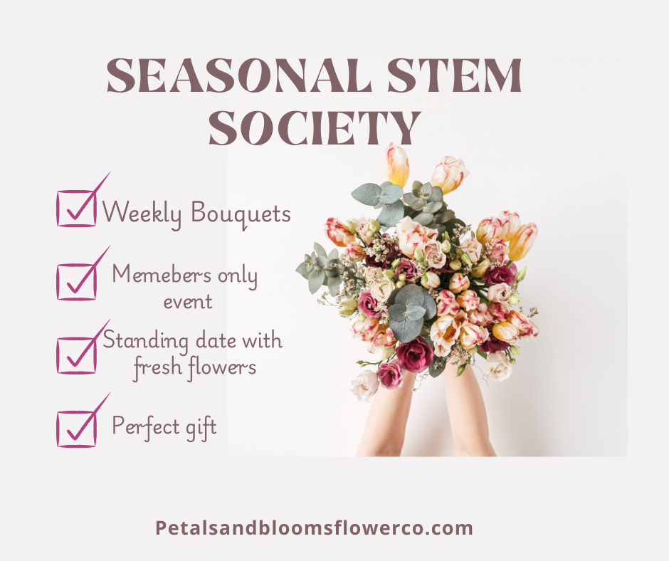 Seasonal Stem Society checklist.png